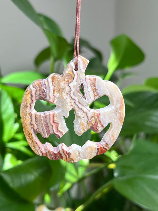 Crazy Lace Agate Ornament Pumpkin:  Pi