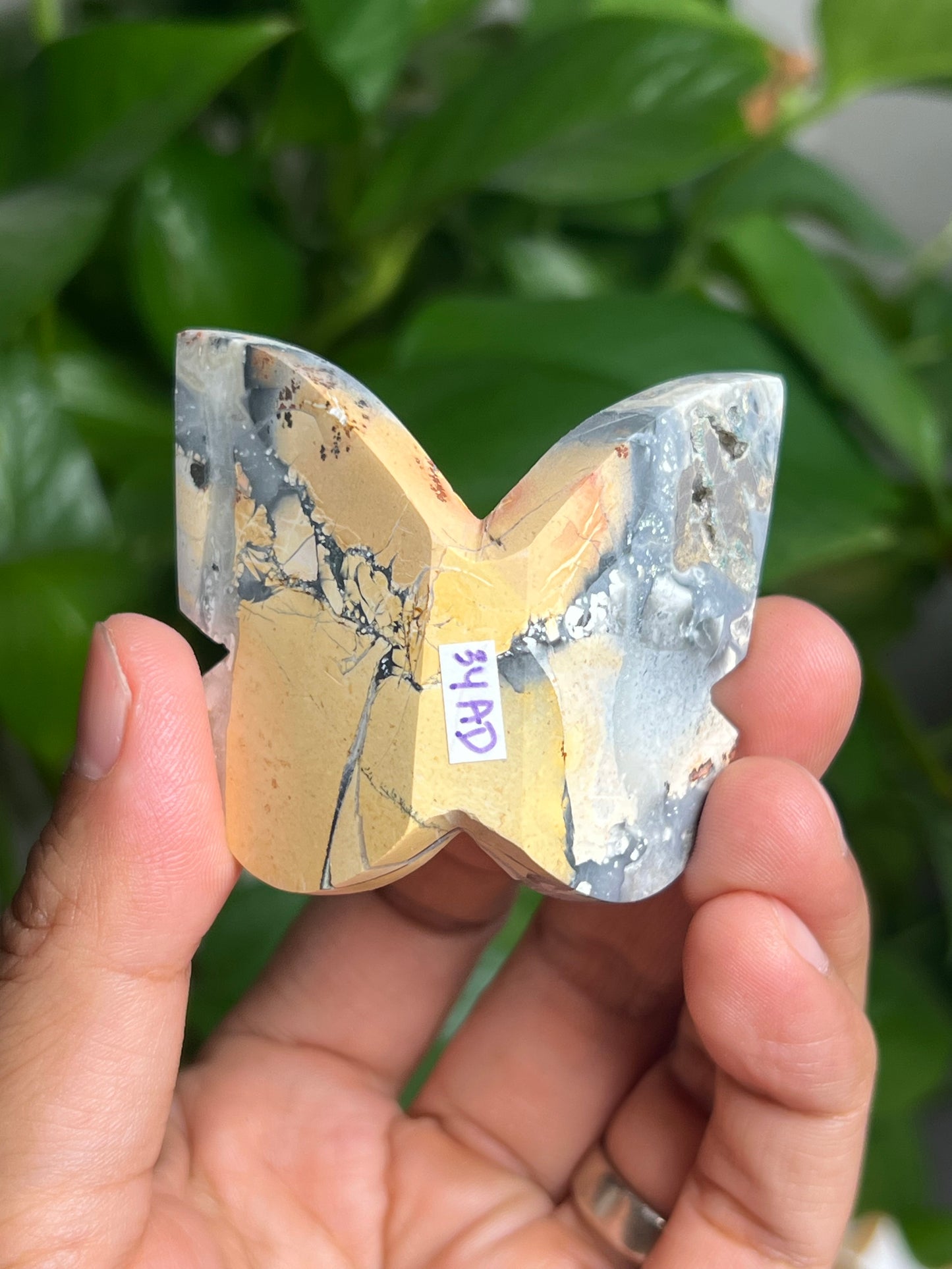 Maligano 3D Butterfly: AD