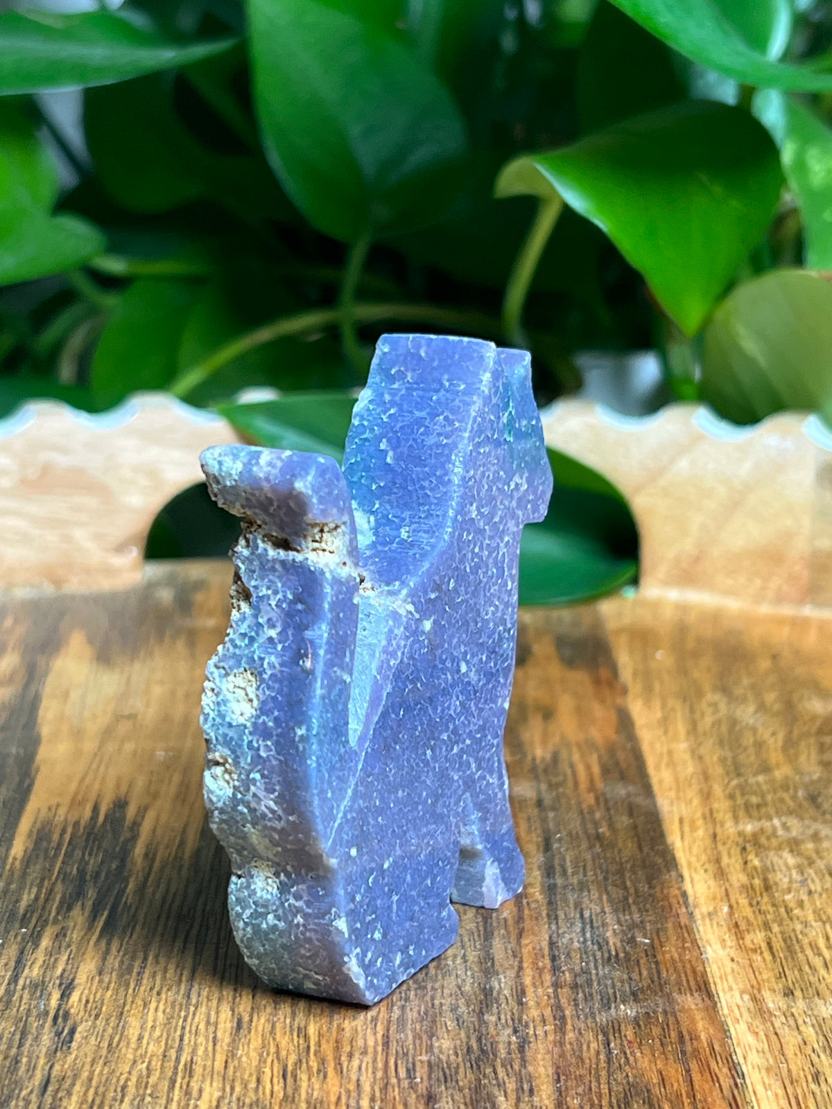 Grape Agate Cat: A