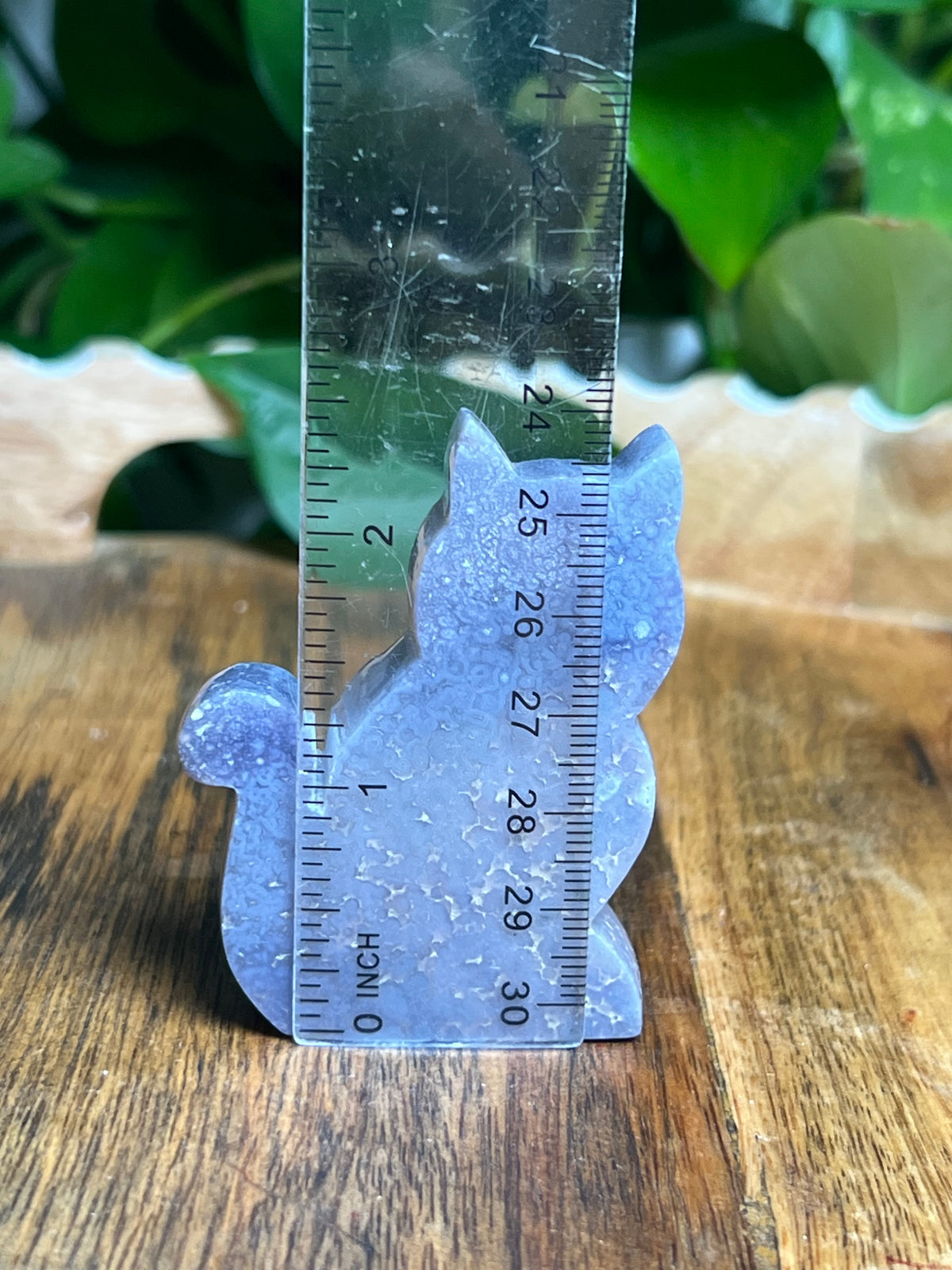 Grape Agate Mini Cat: Bi