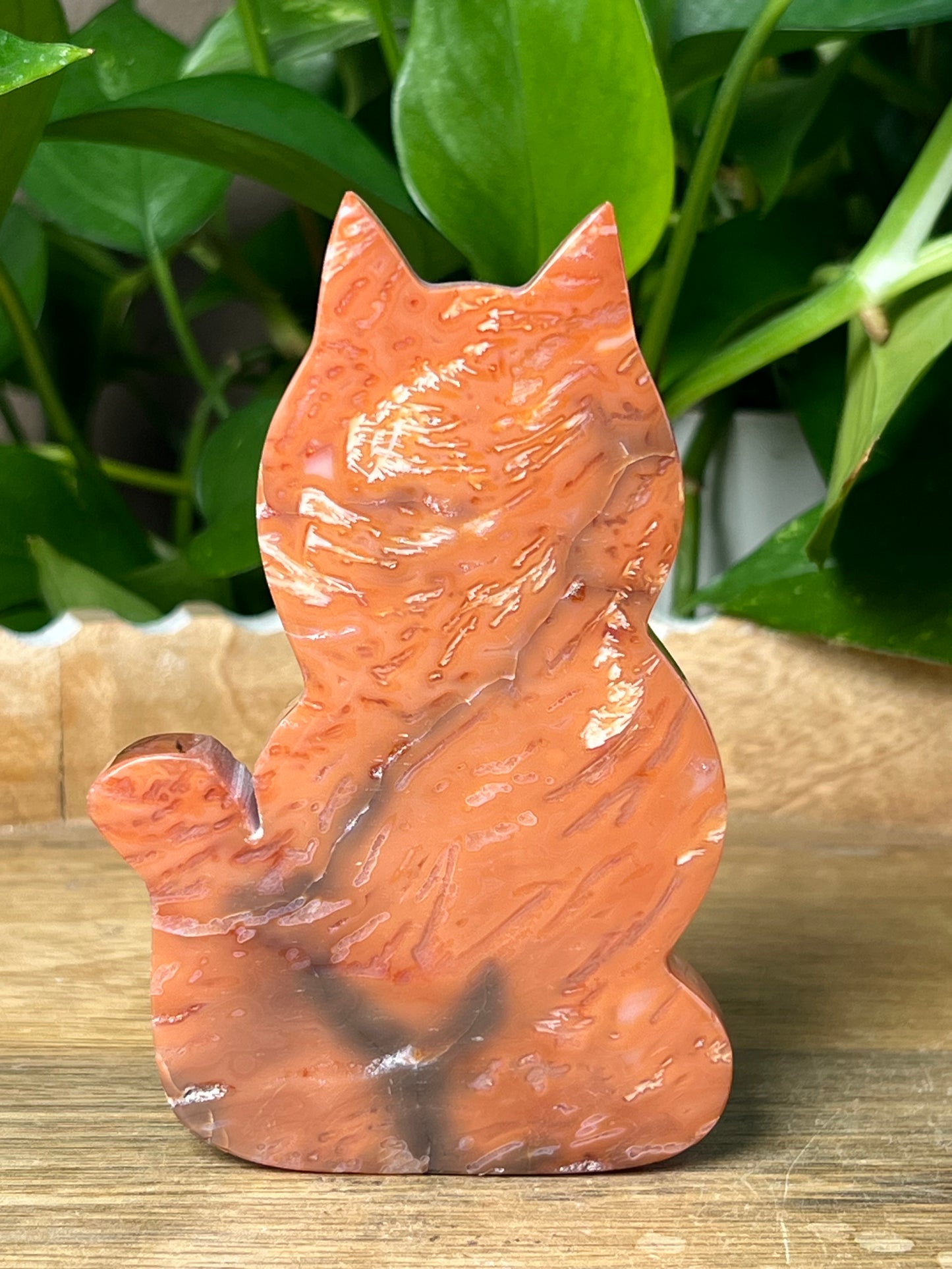 Carnelian Cat