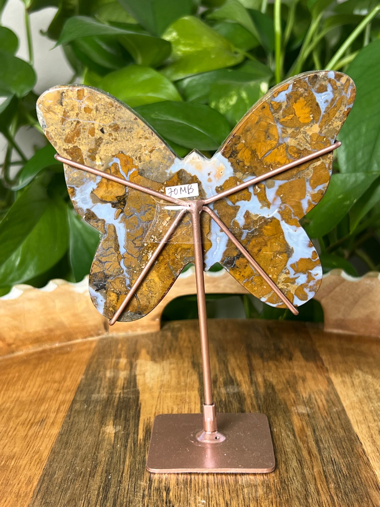 Brecciated Jasper Butterfly