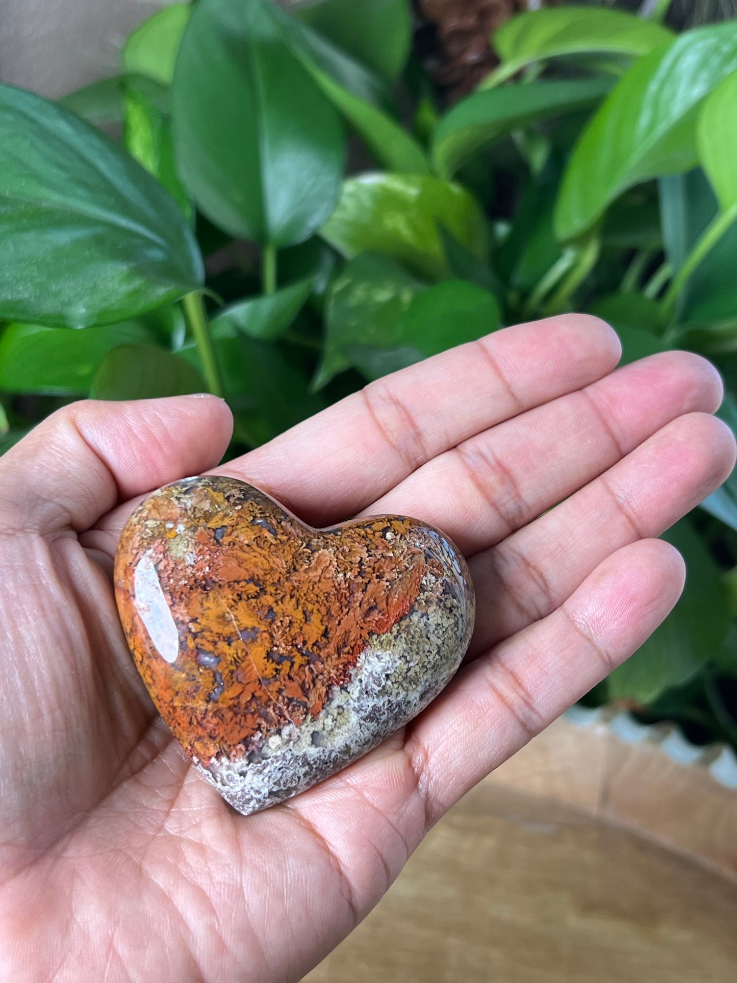 Scenic Moss Agate Heart