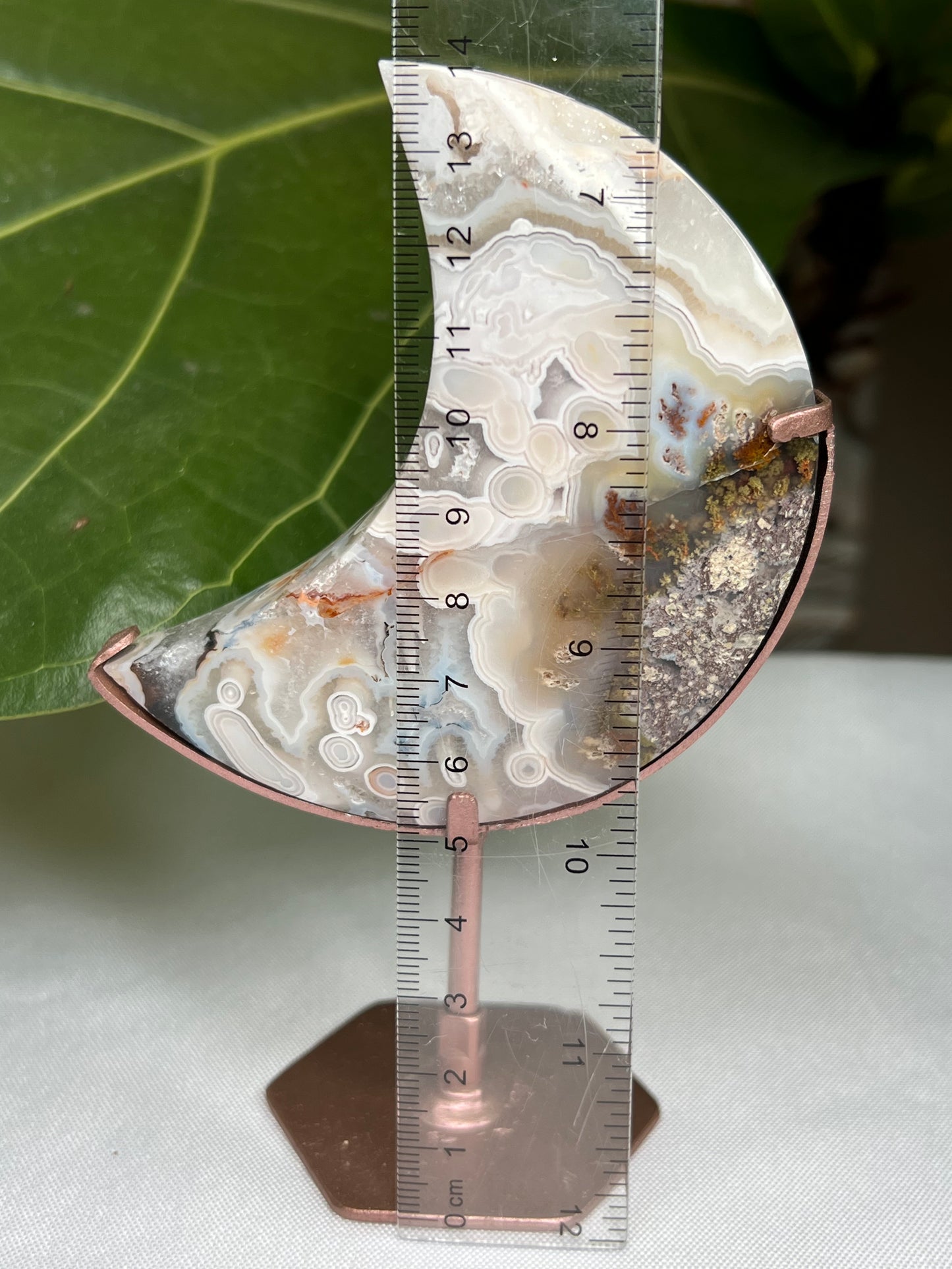 Scenic Moss Agate Moon