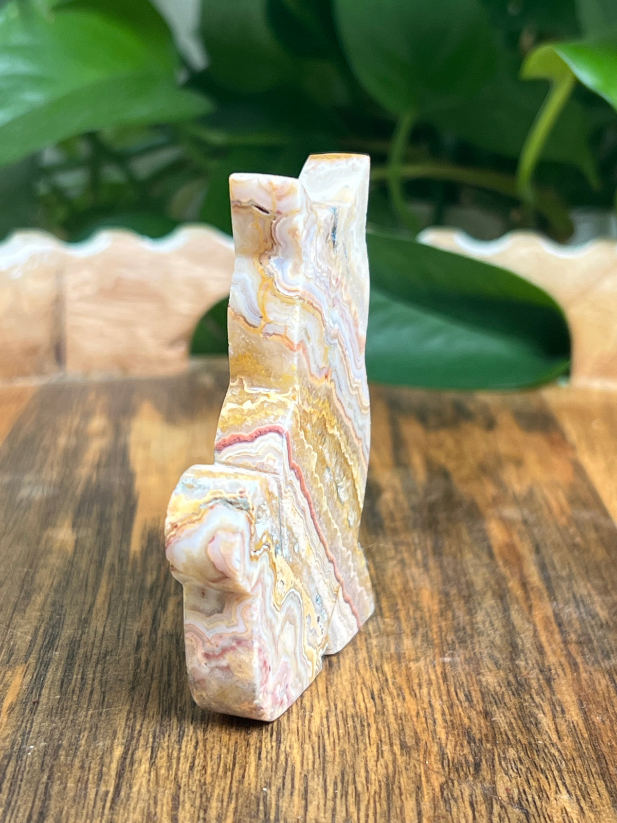 Crazy Lace Agate Cat: QN