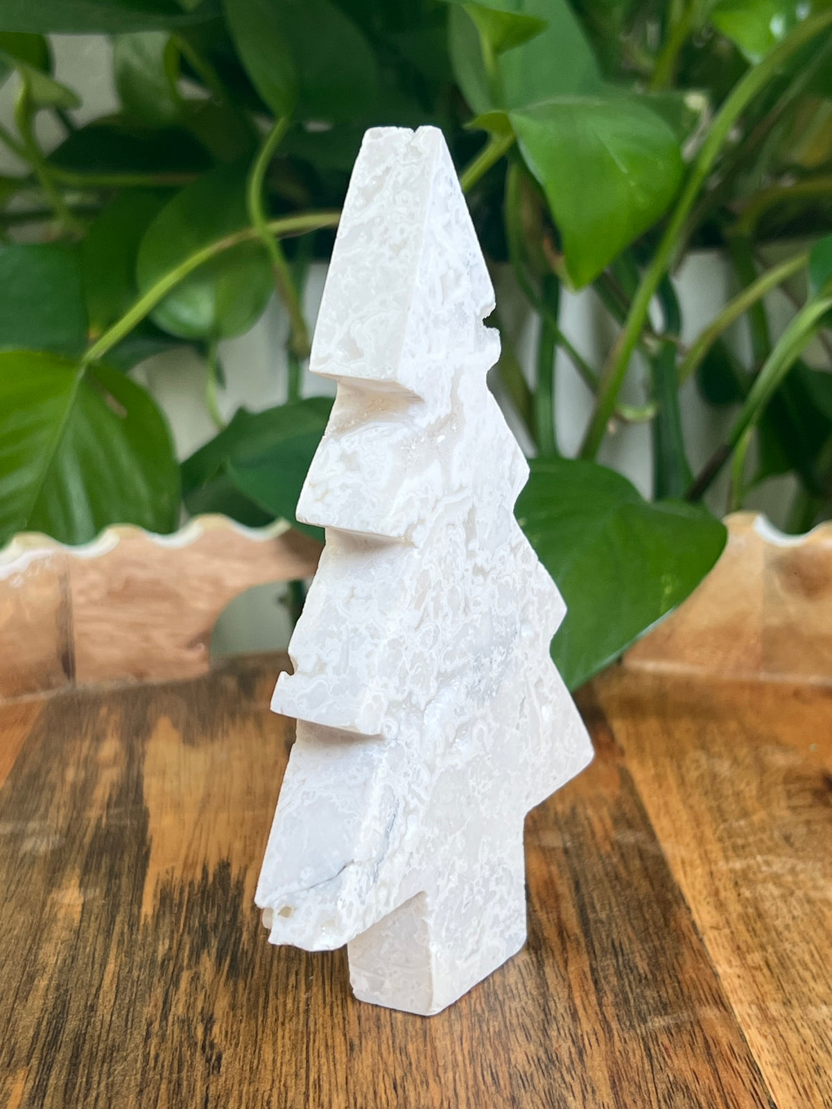 White Plume Agate Tree: DC