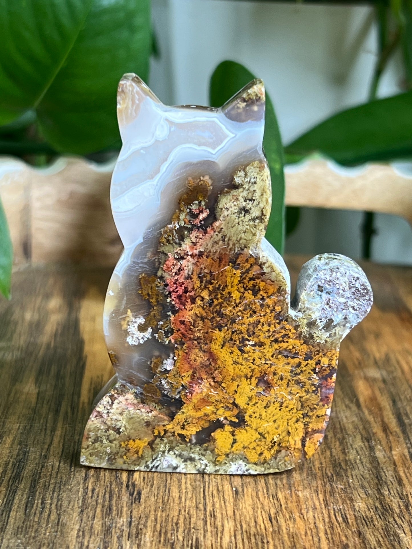 Scenic Moss Agate Cat HF
