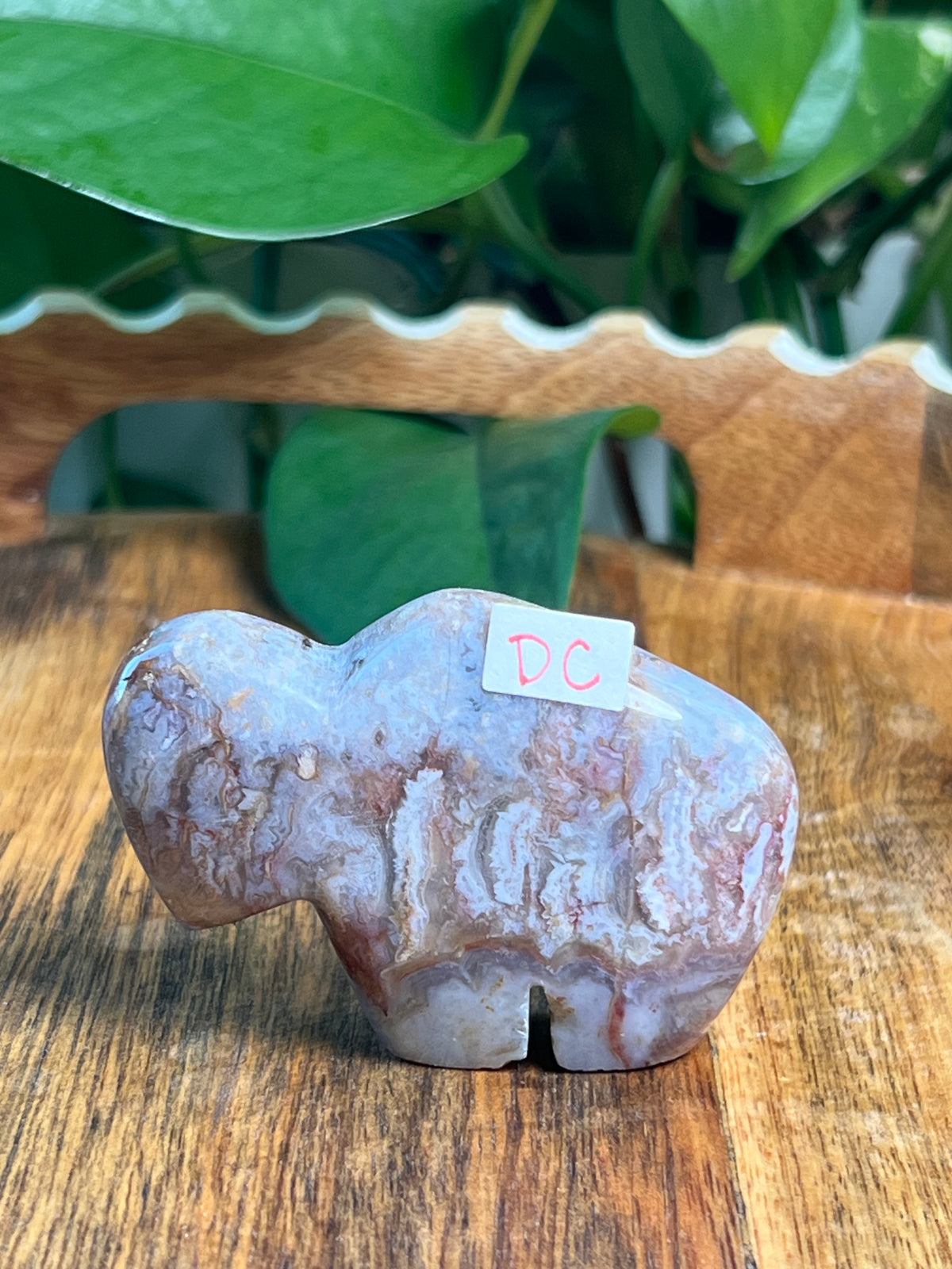 Sumatra Plume Agate Mini Buffalos