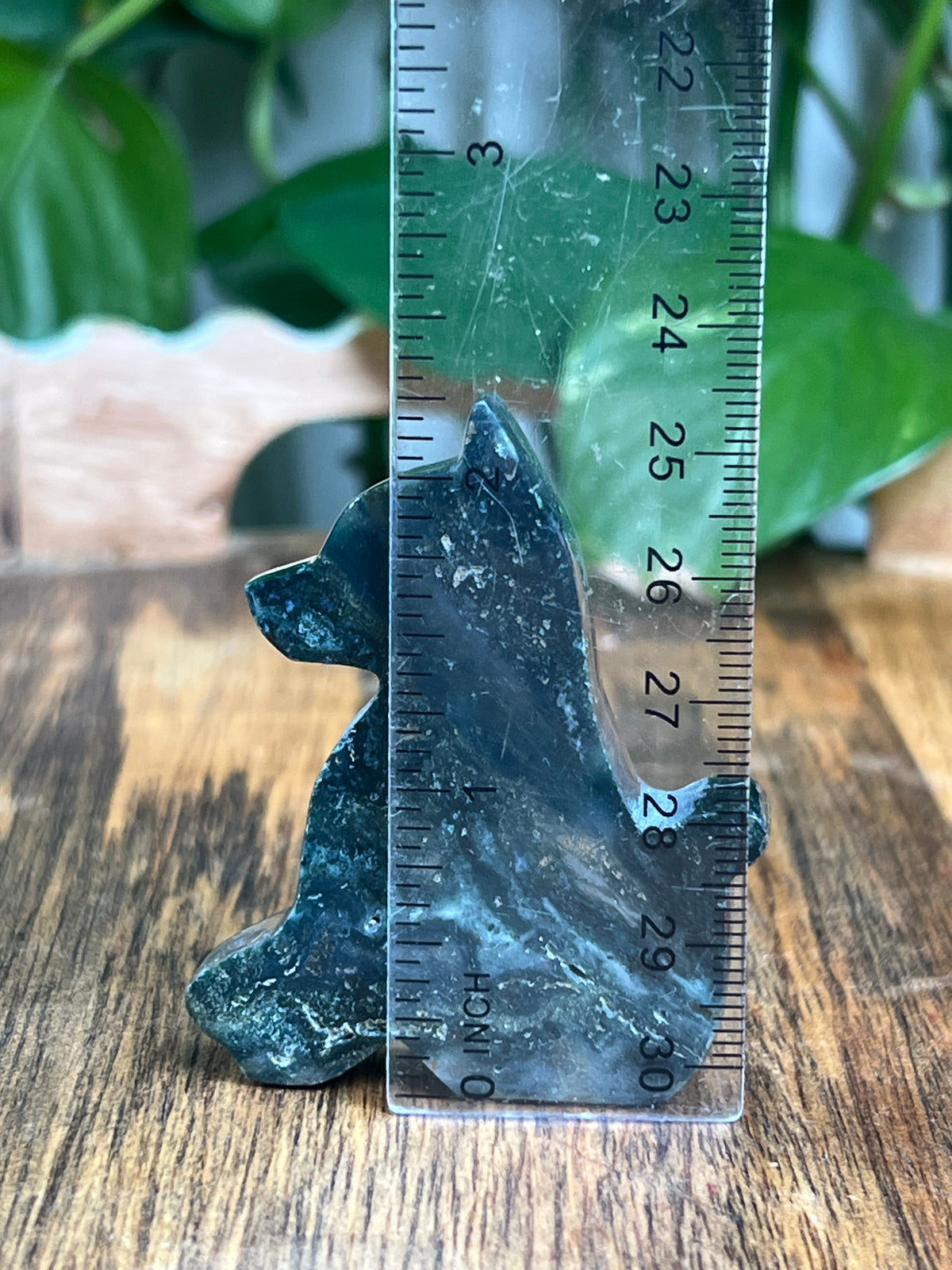 Blue Green Jasper Dog: AB