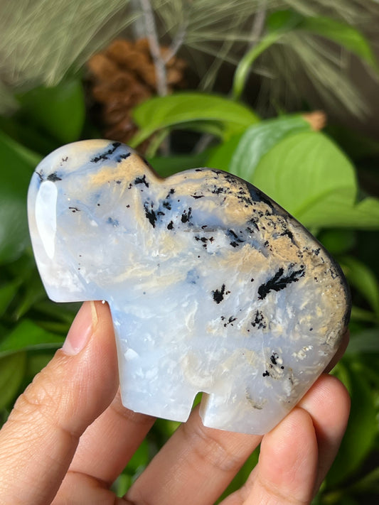 Dendritic Tiger Buffalo