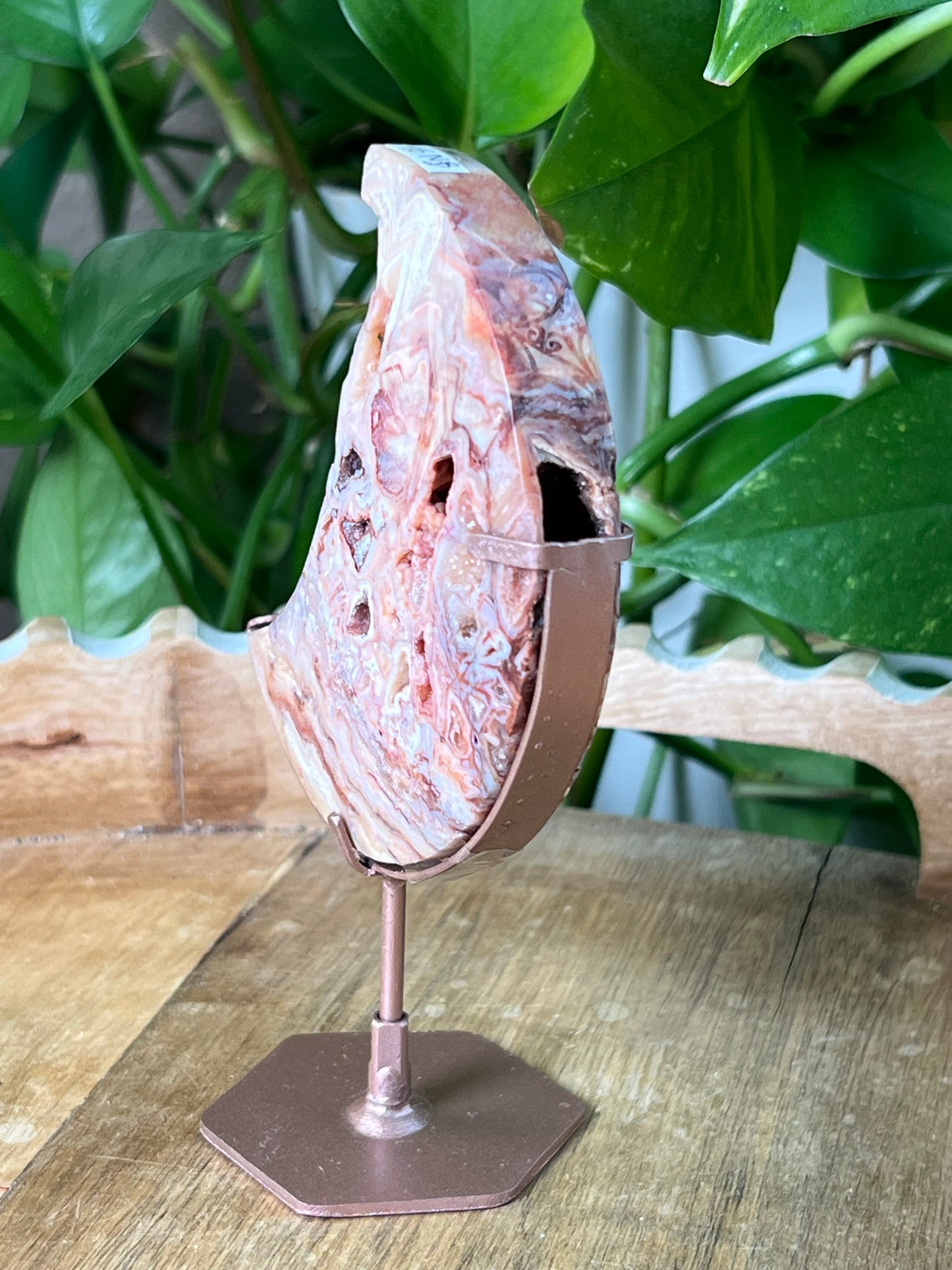 Crazy Lace Agate Moon