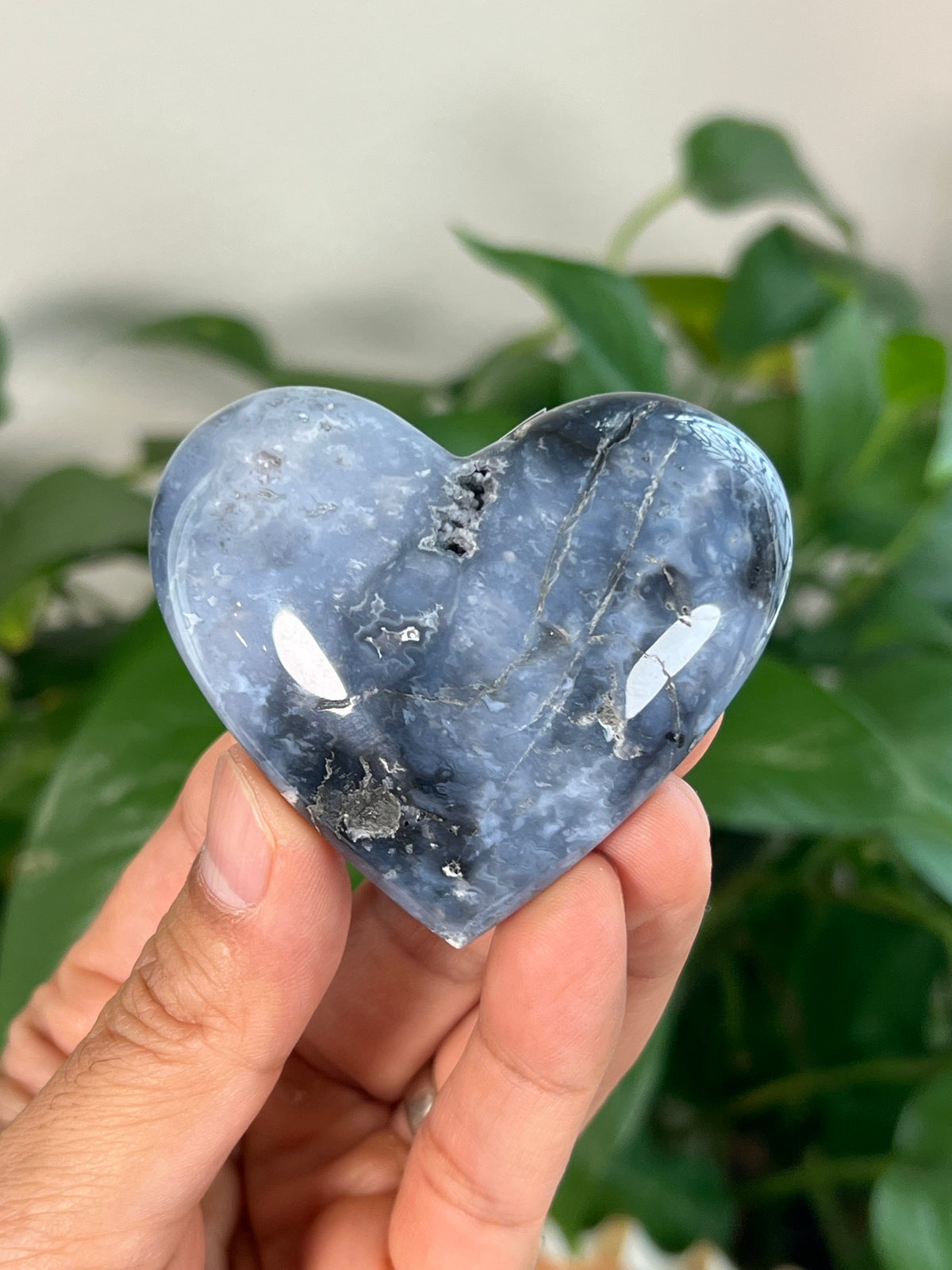 Blue Plume Agate Small Hearts