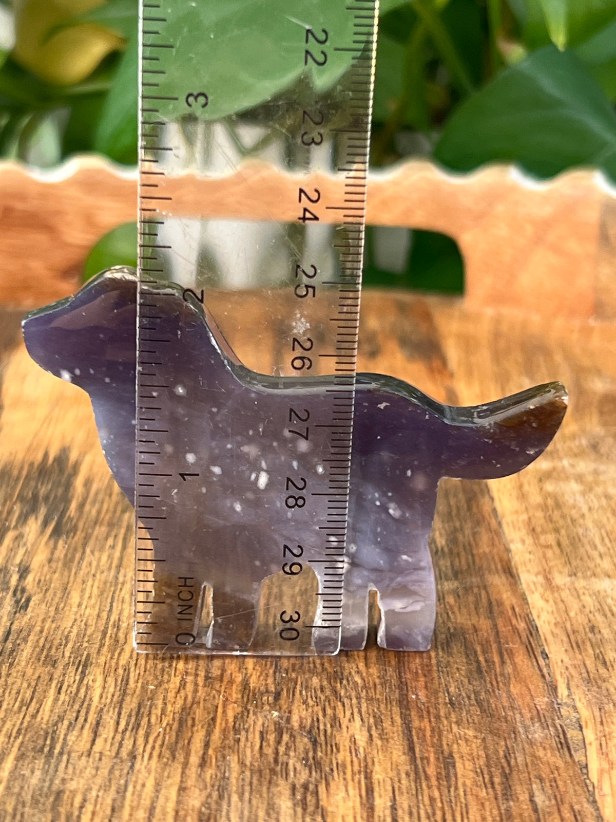Purple Chalcedony Dogs