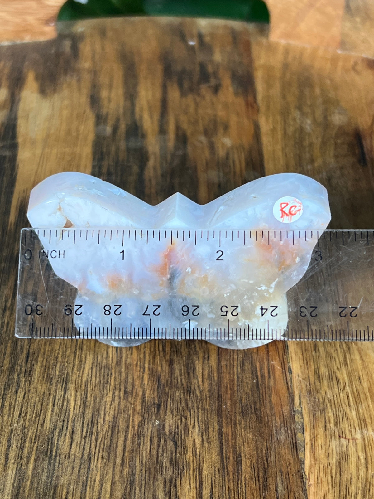 Rainbow Plume Agate Small Self Standing Butterflies