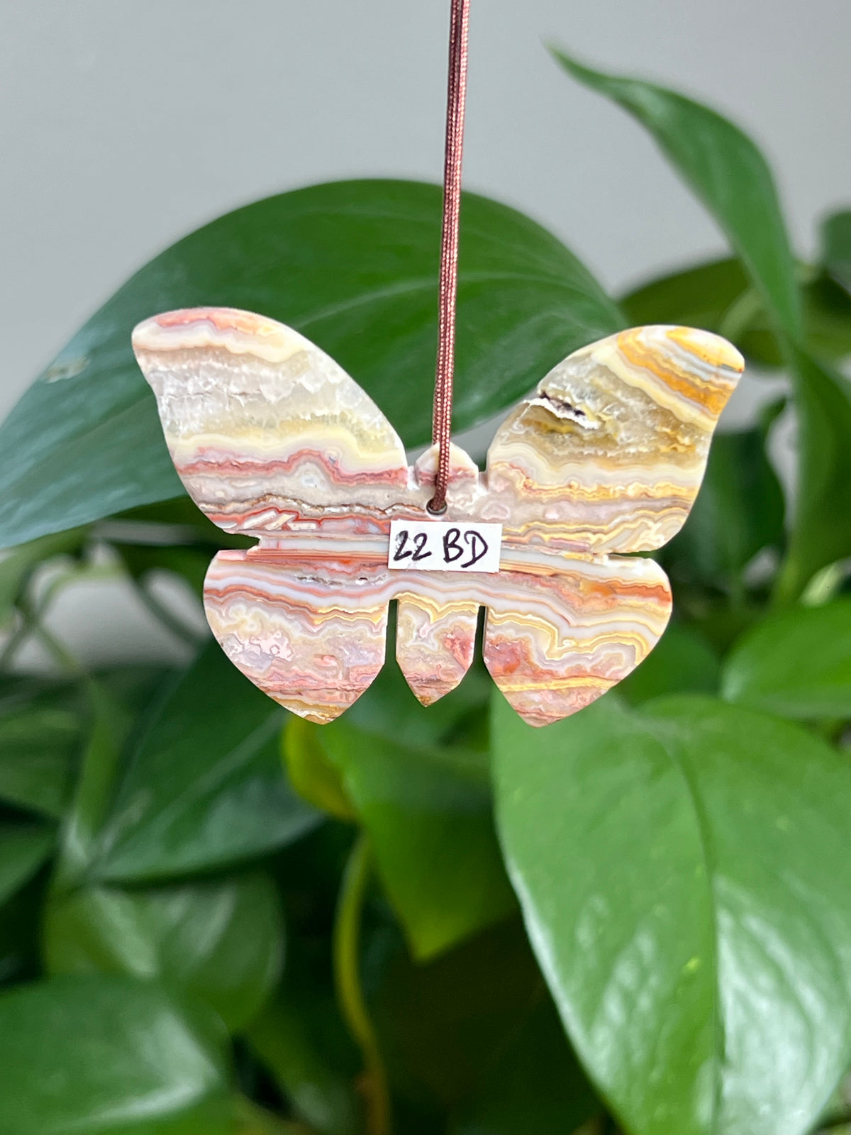 Crazy Lace Agate Ornament Butterfly:  BD