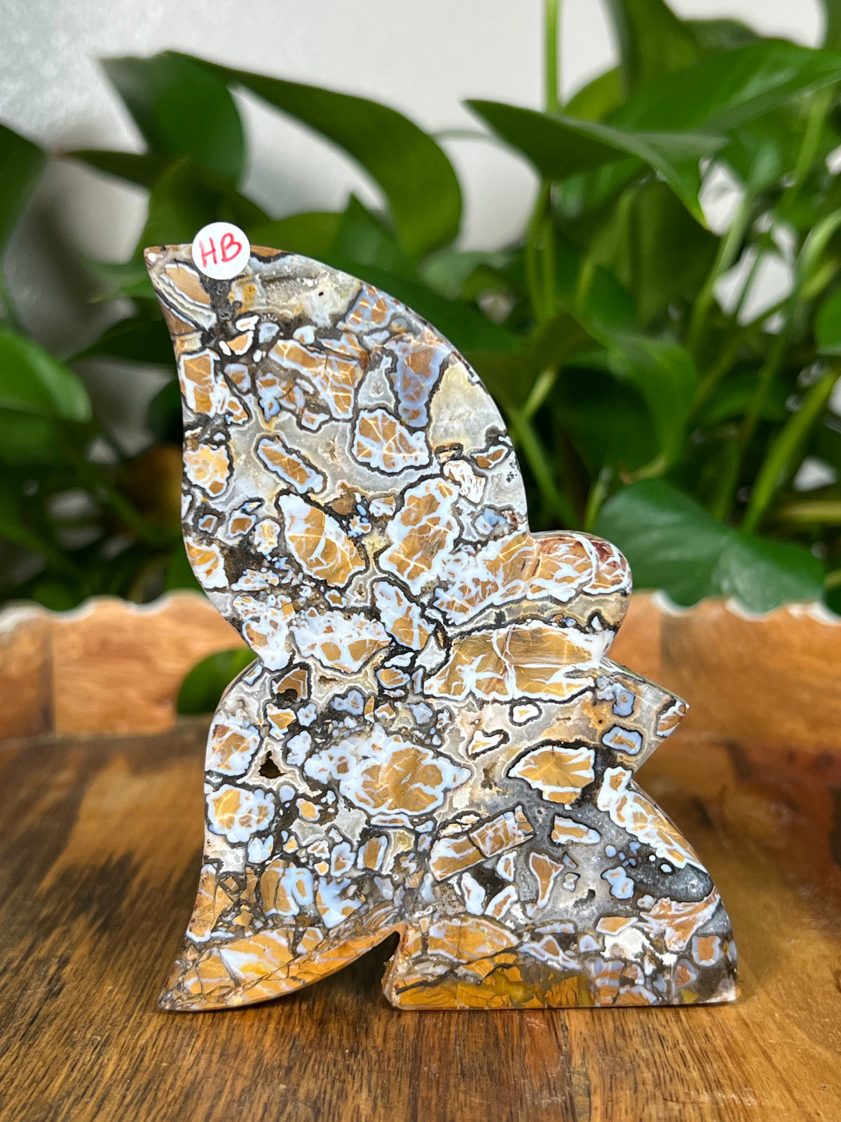 Brecciated Jasper Fairies