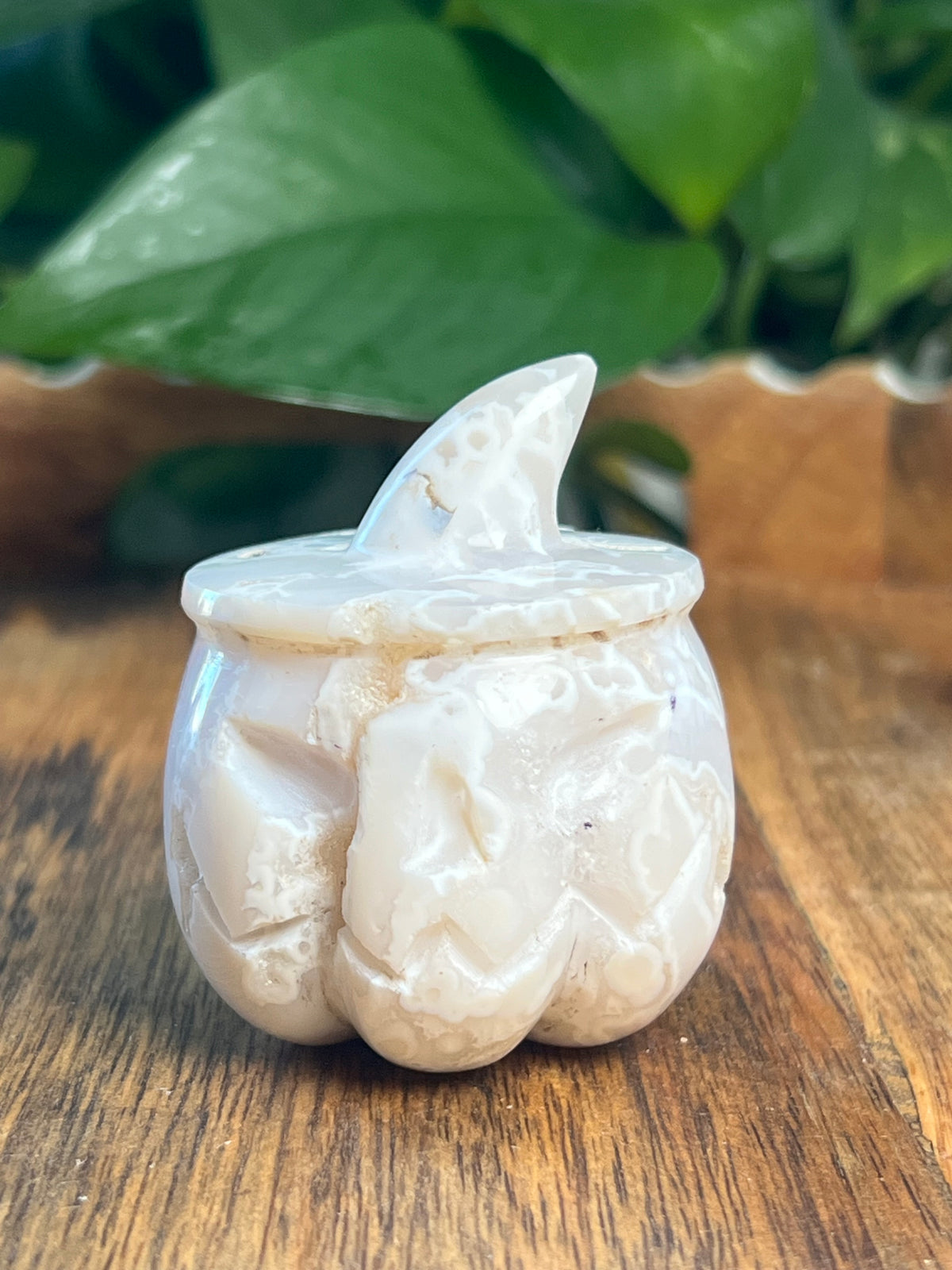 White Plume Agate Pumpkin: E