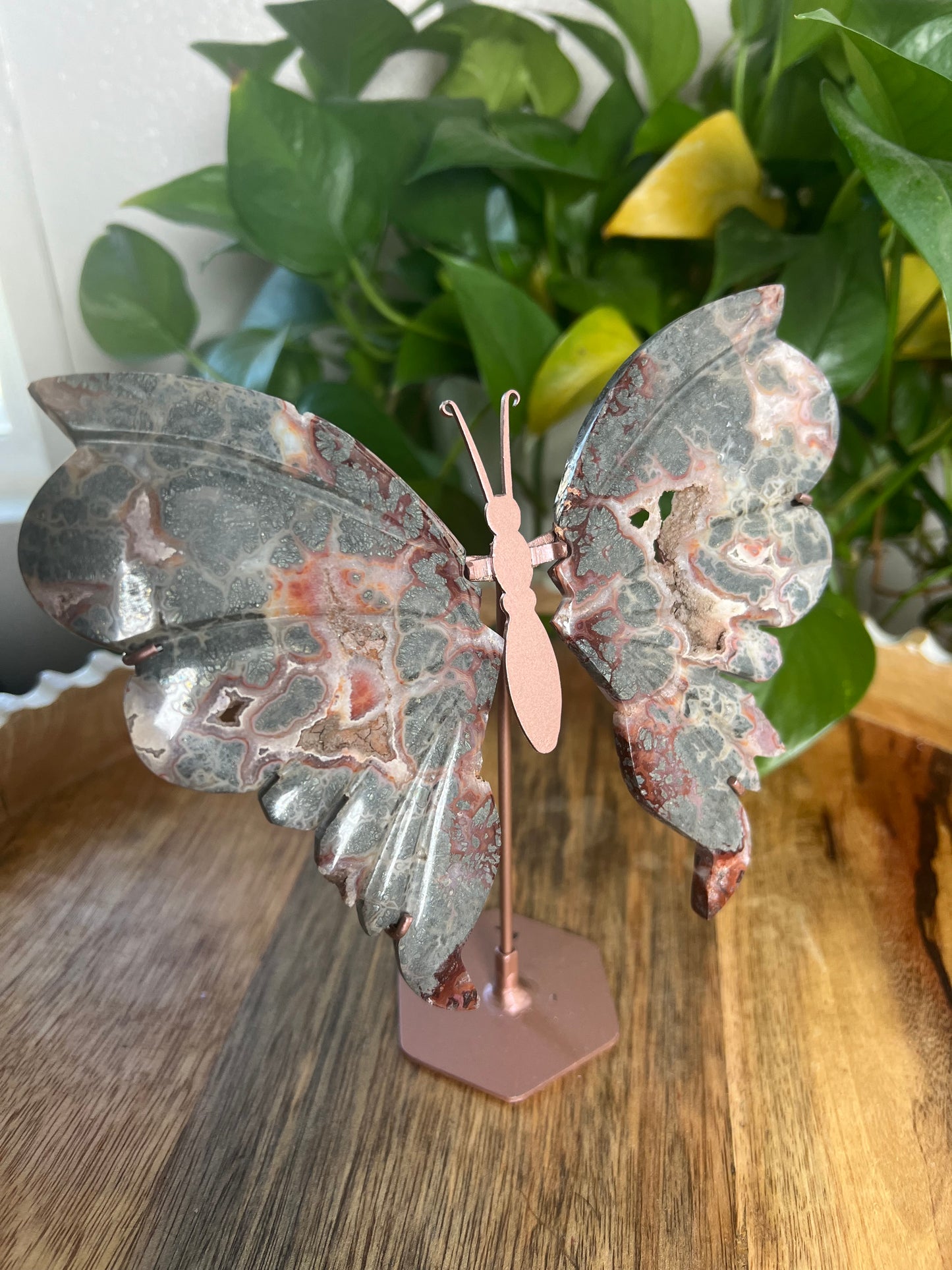 Marcasite Wings PB