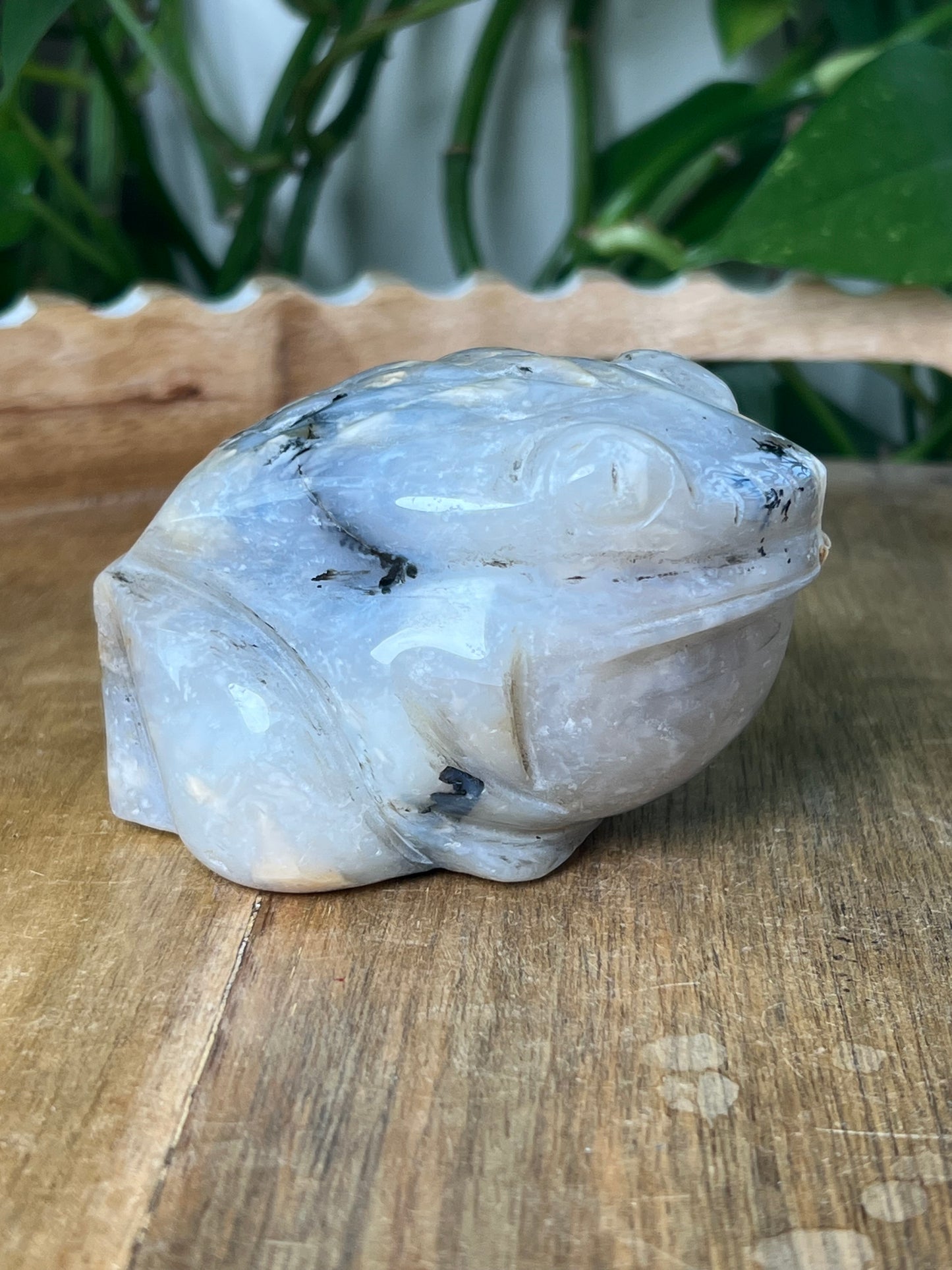 Dendritic Tiger Agate Frog