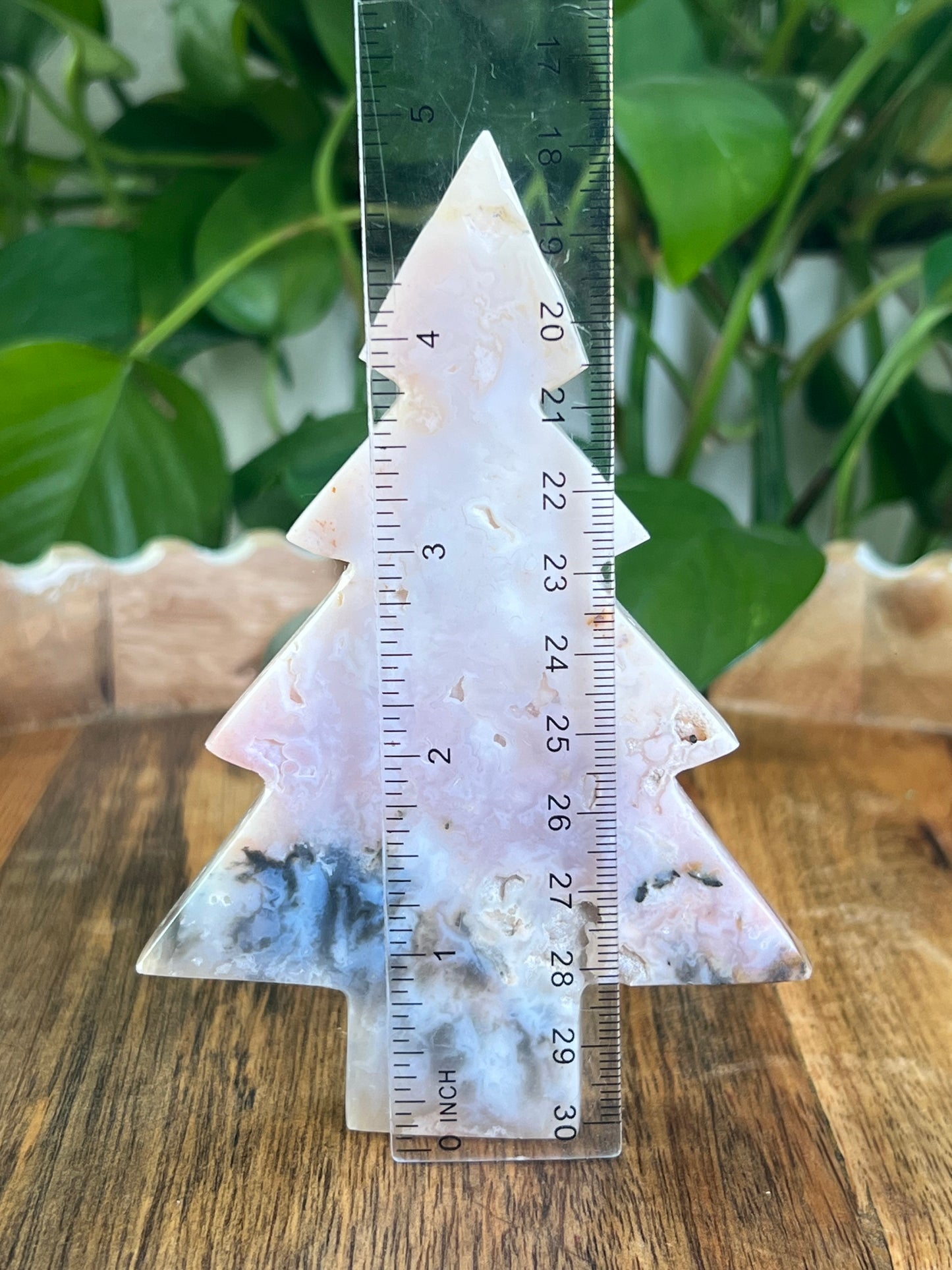 Rainbow Plume Agate Tree: DA