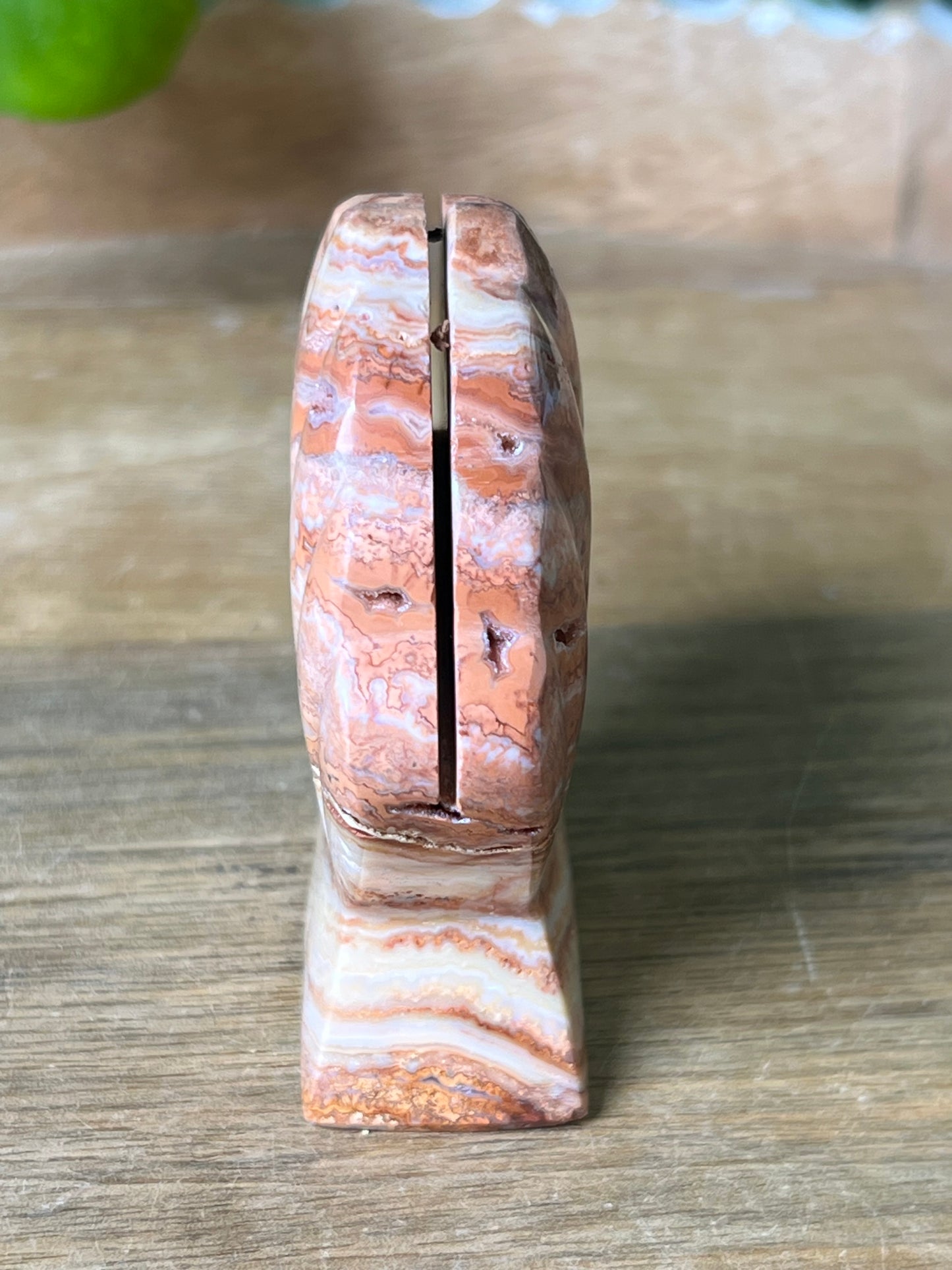 Crazy Lace Agate Shell