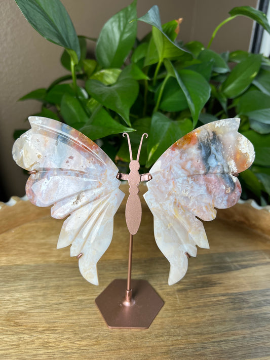 Rainbow Plume Agate Wings