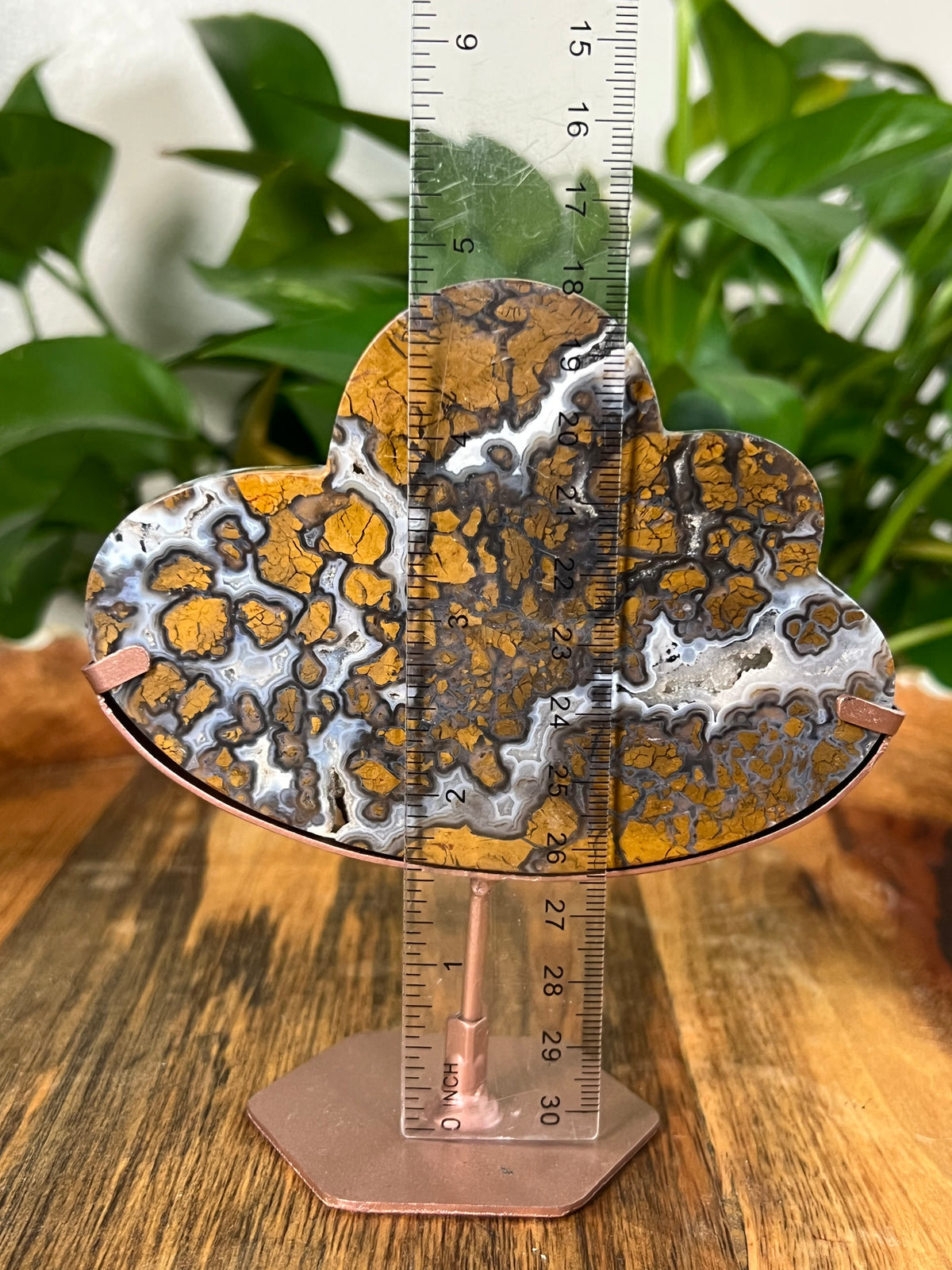 Brecciated Jasper Clouds