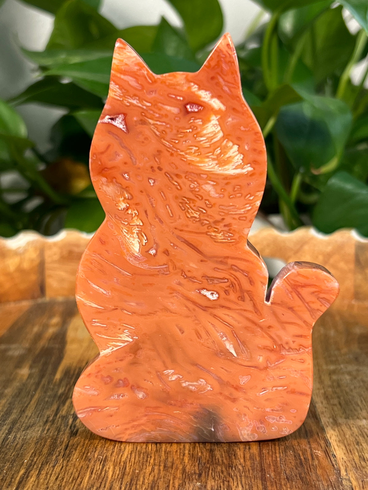 Carnelian Cats