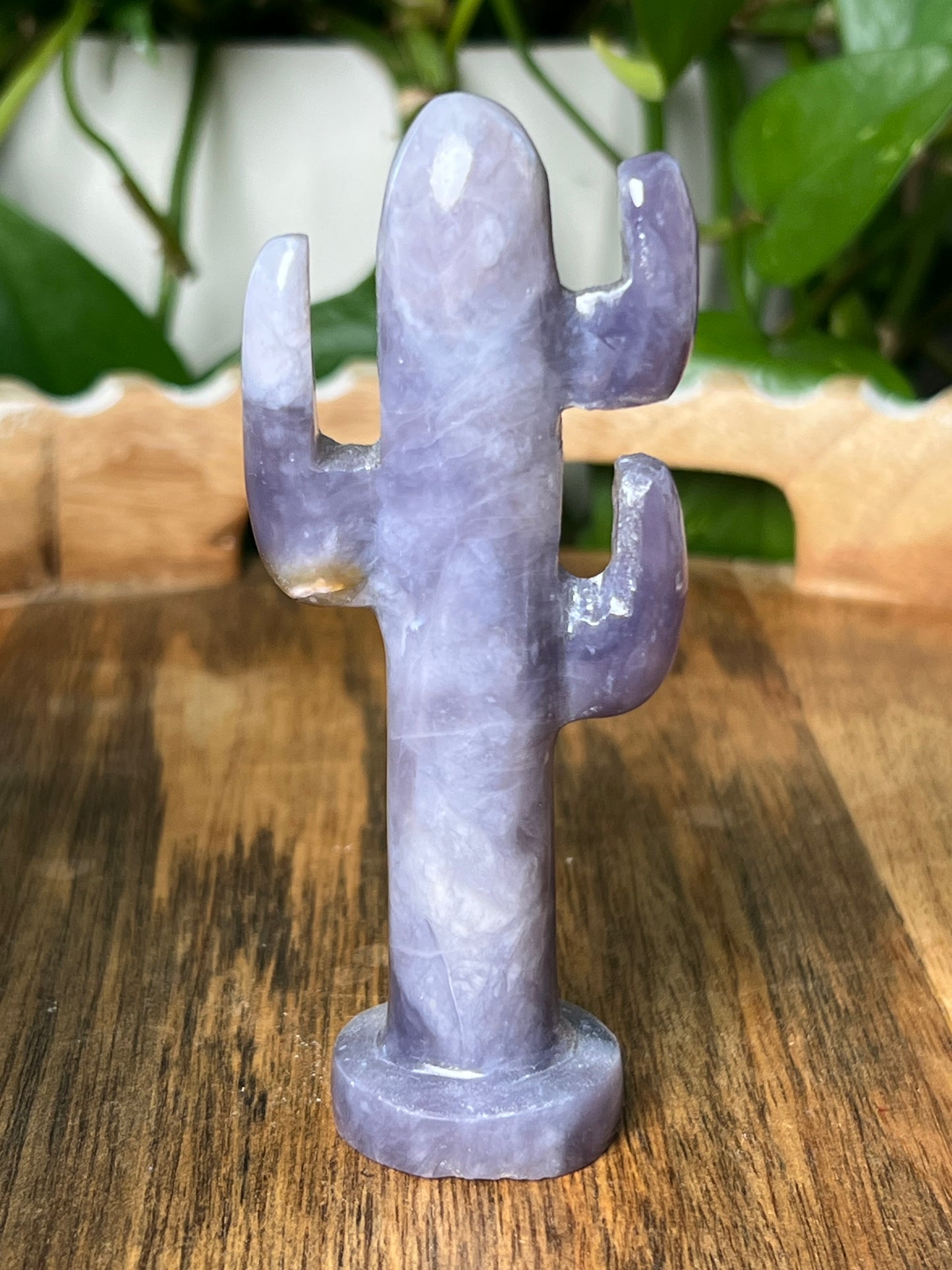 Purple Chalcedony Cactus