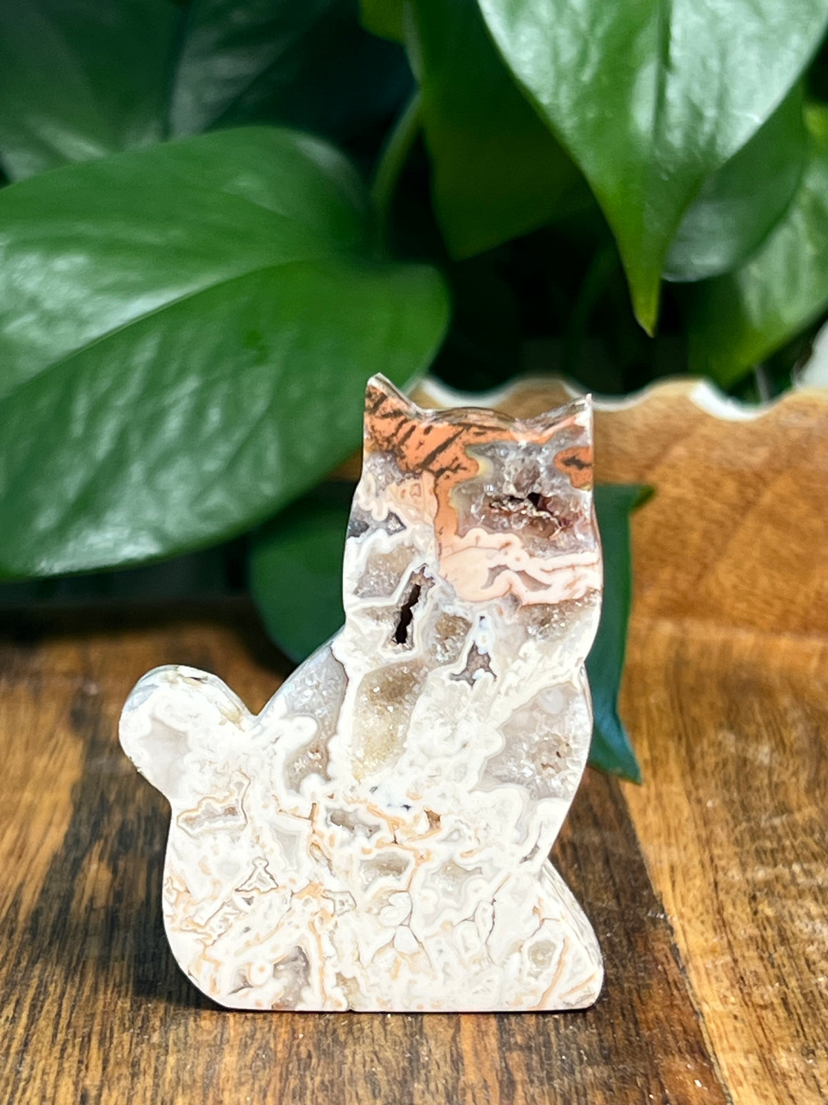 Tube Agate Mini Cats