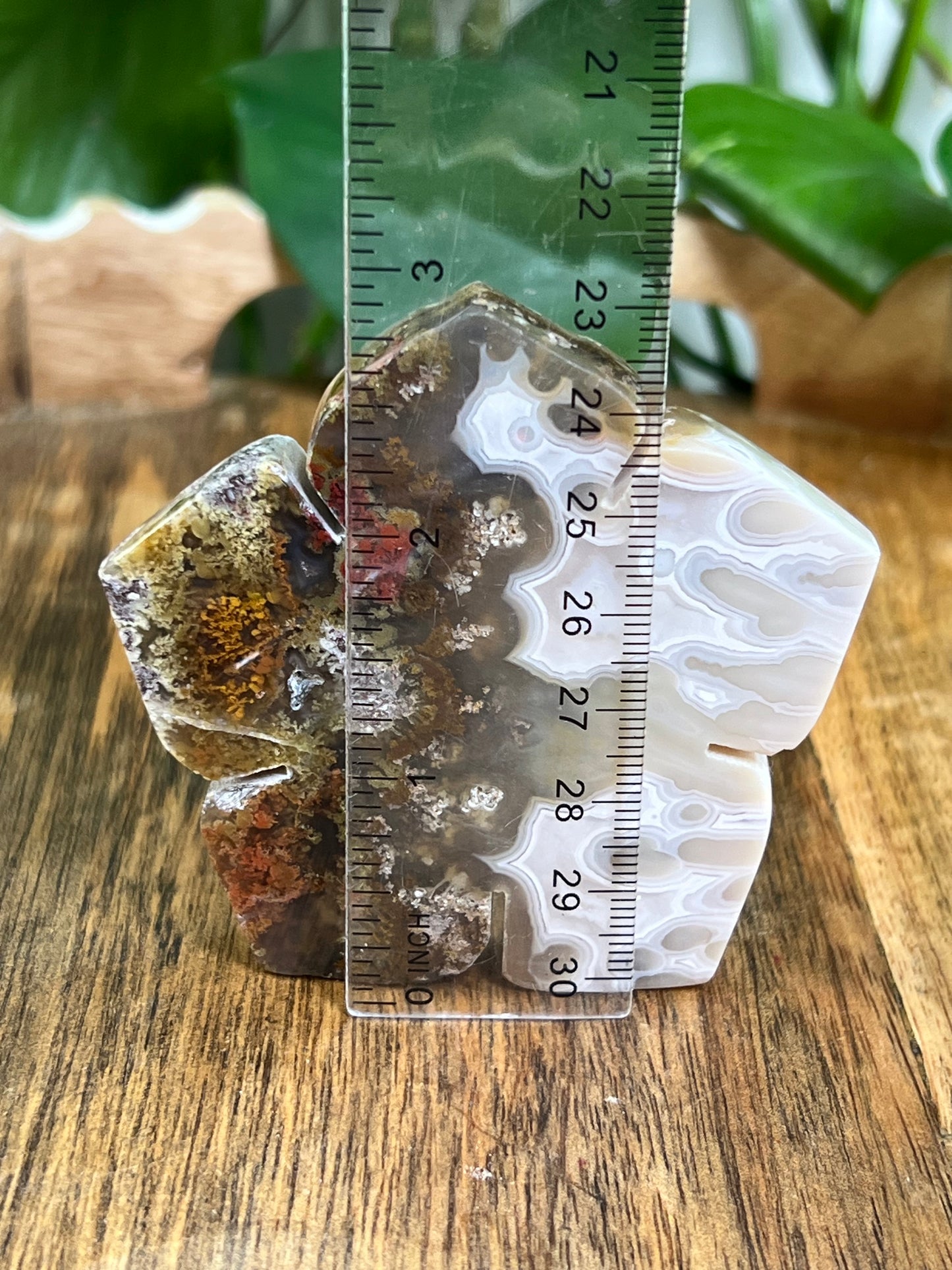 Scenic Moss Agate Flower HB