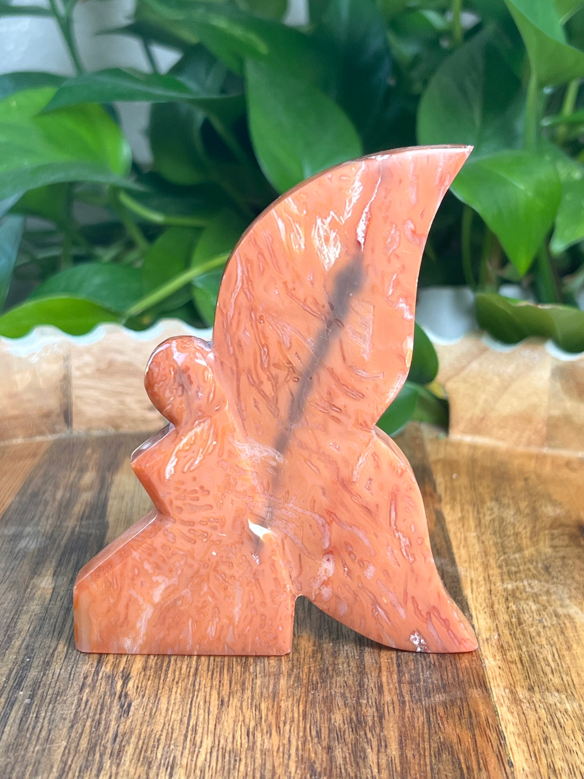 Carnelian Fairy: C