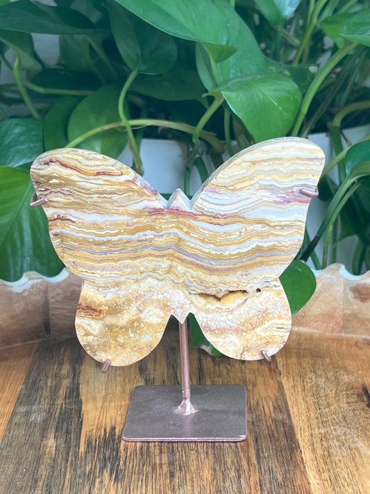 Crazy Lace Agate Butterfly: AL