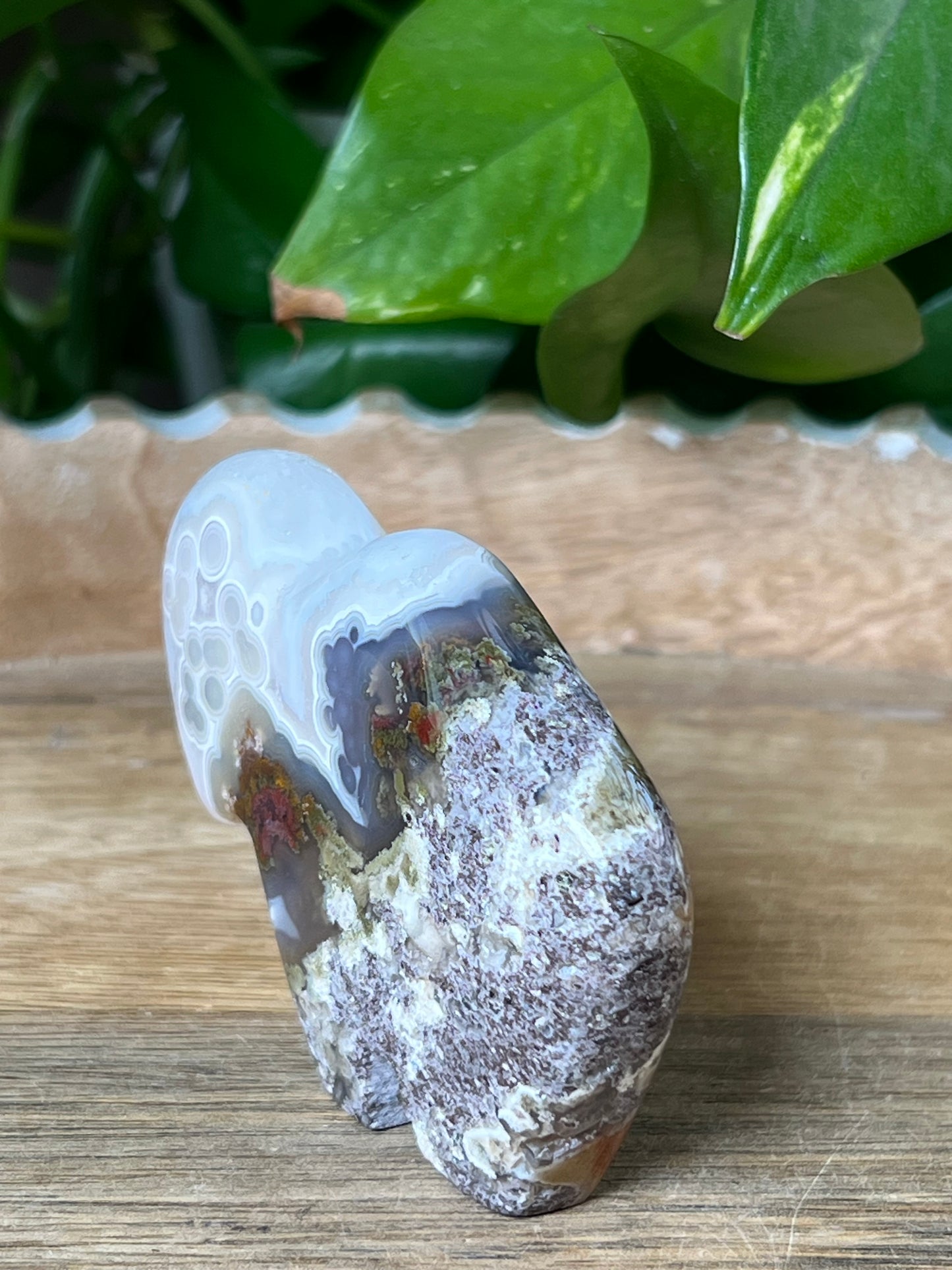 Scenic Moss Agate Buffalo
