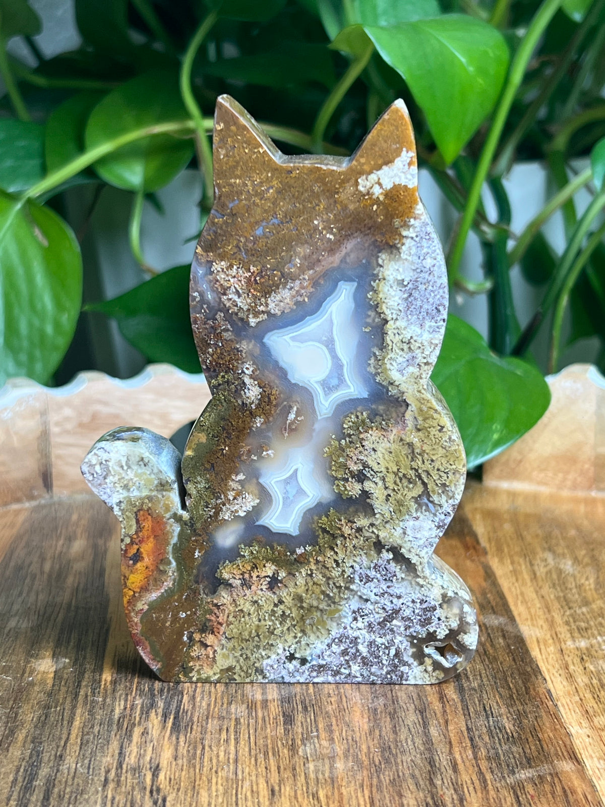 Scenic Moss Agate Cat: AB