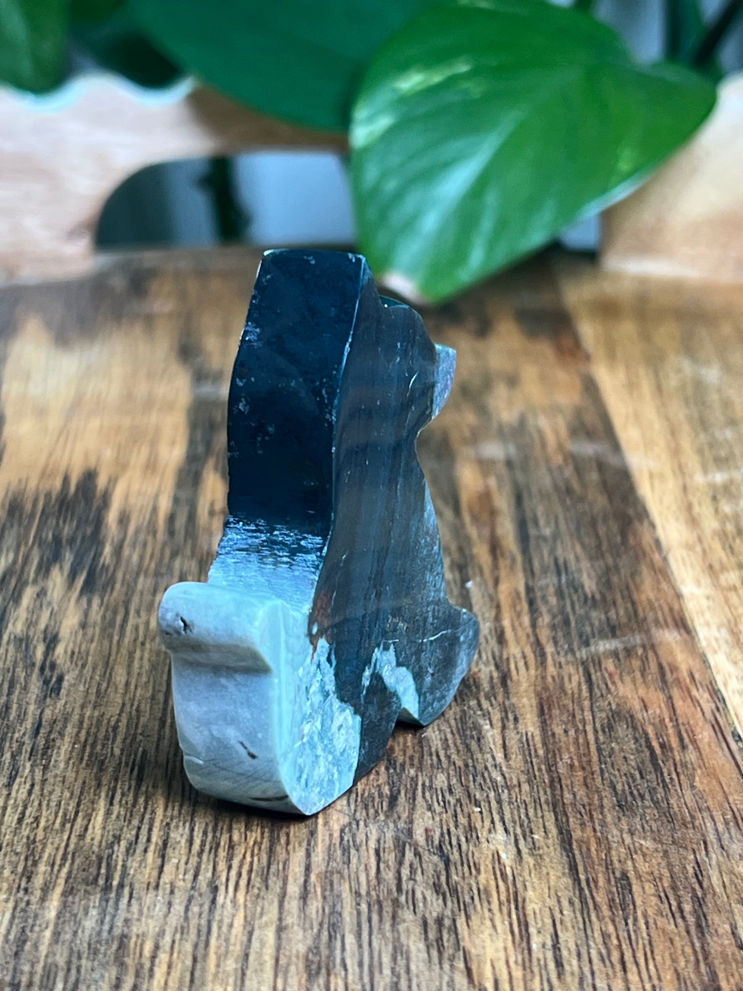 Blue Green Jasper Dog: AA