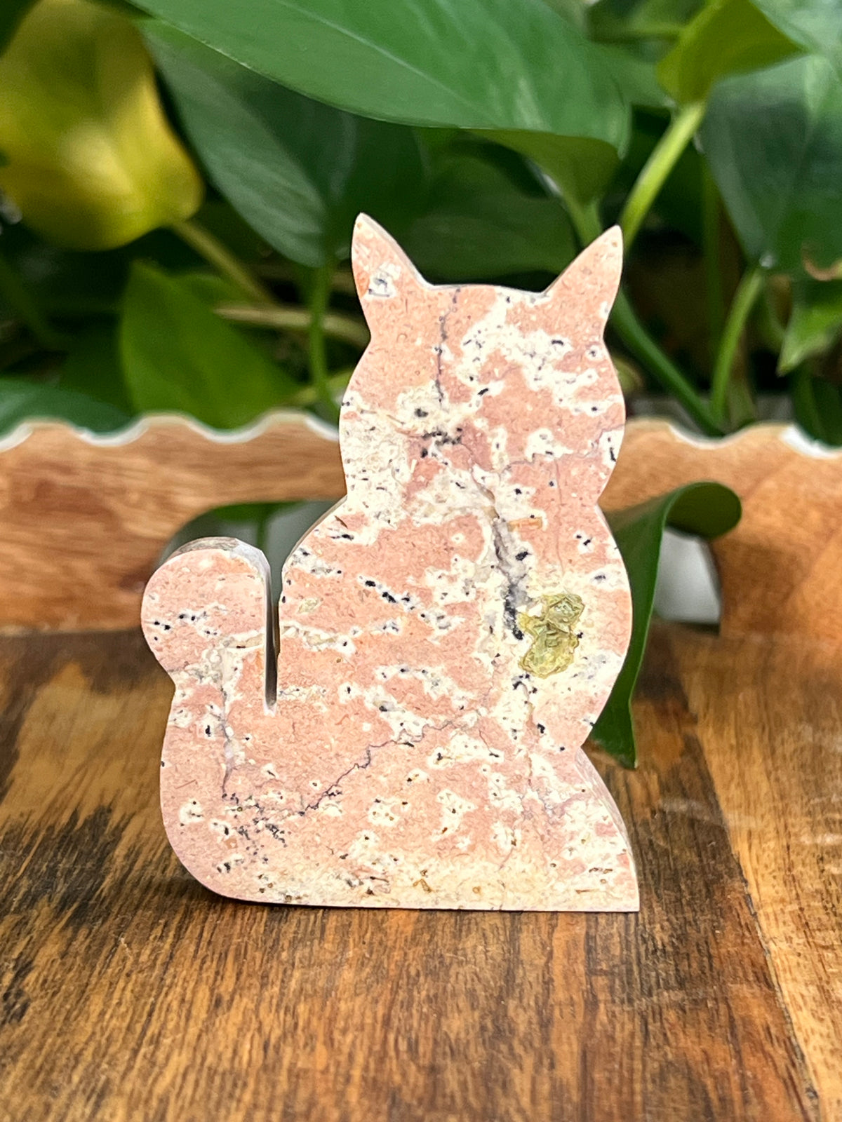 Peachy Pink Jasper Cats