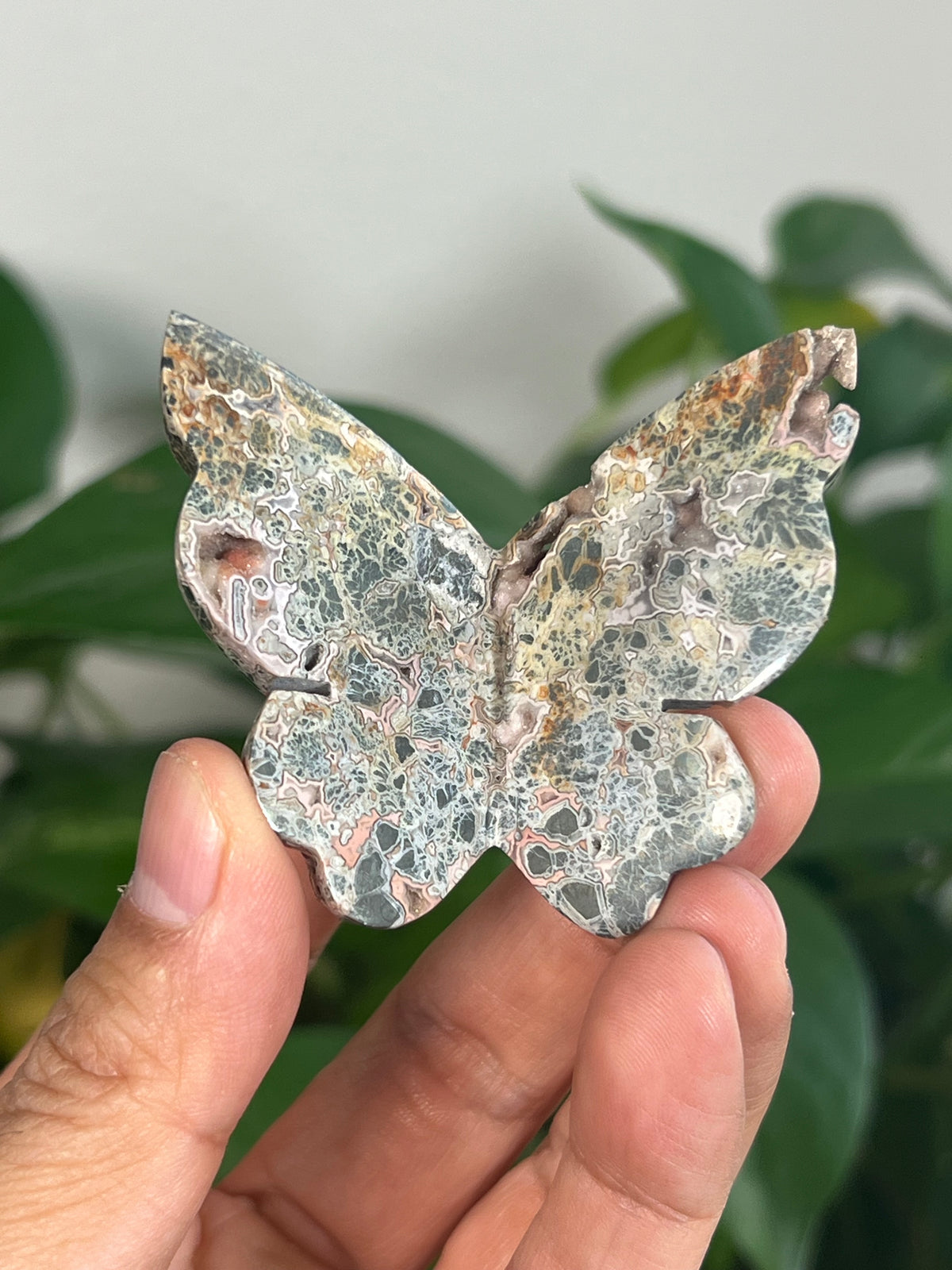Marcasite 3D Butterflies