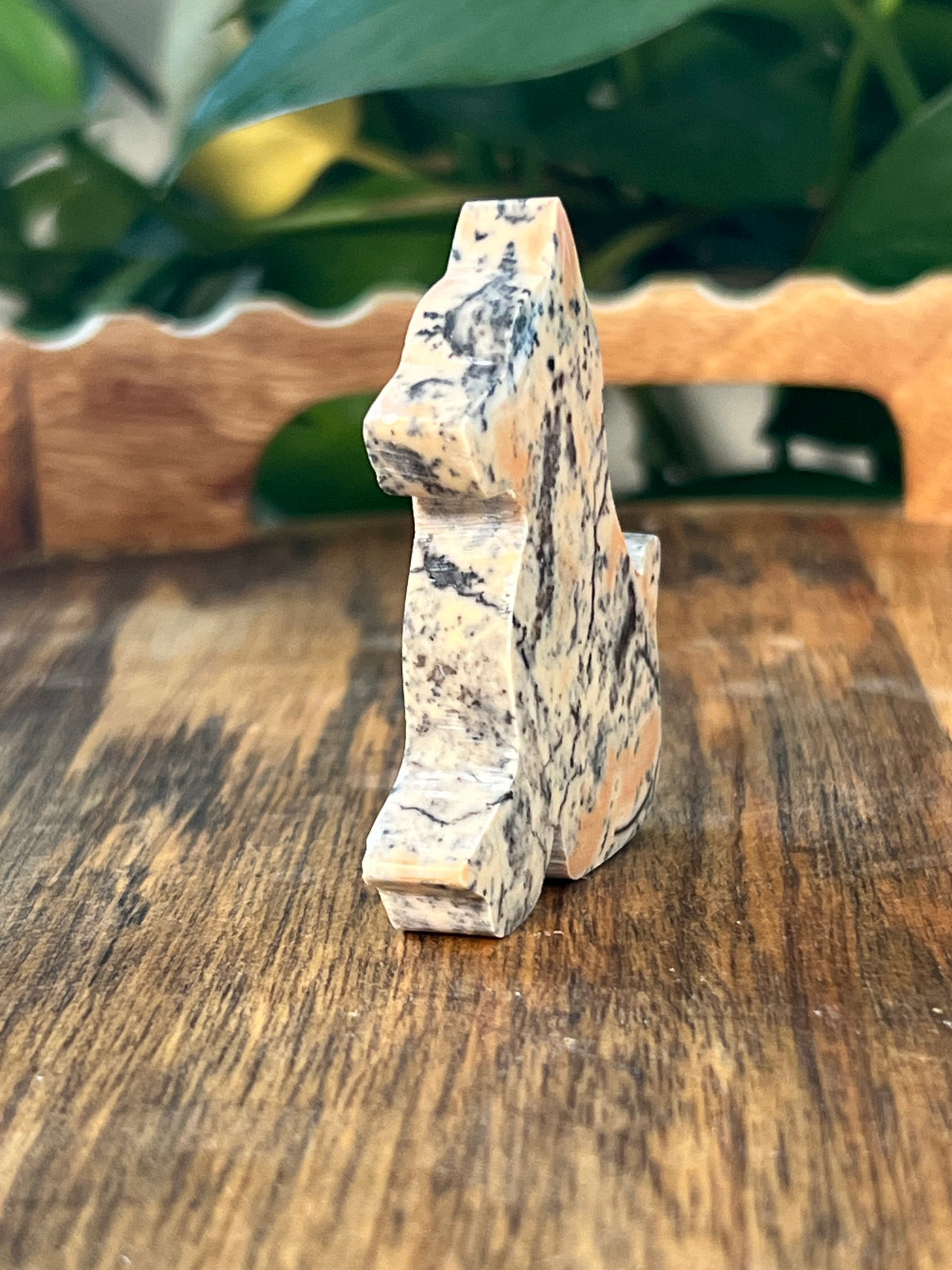 Peachy Pink Dendritic Jasper Dog: KA