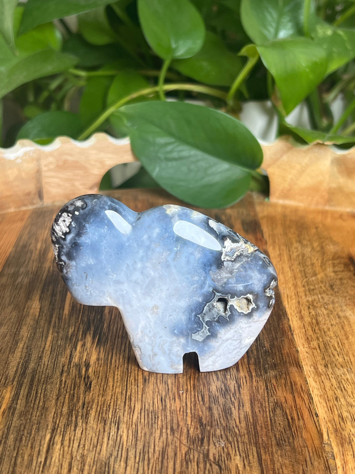 Blue Plume Agate Buffalo: BK