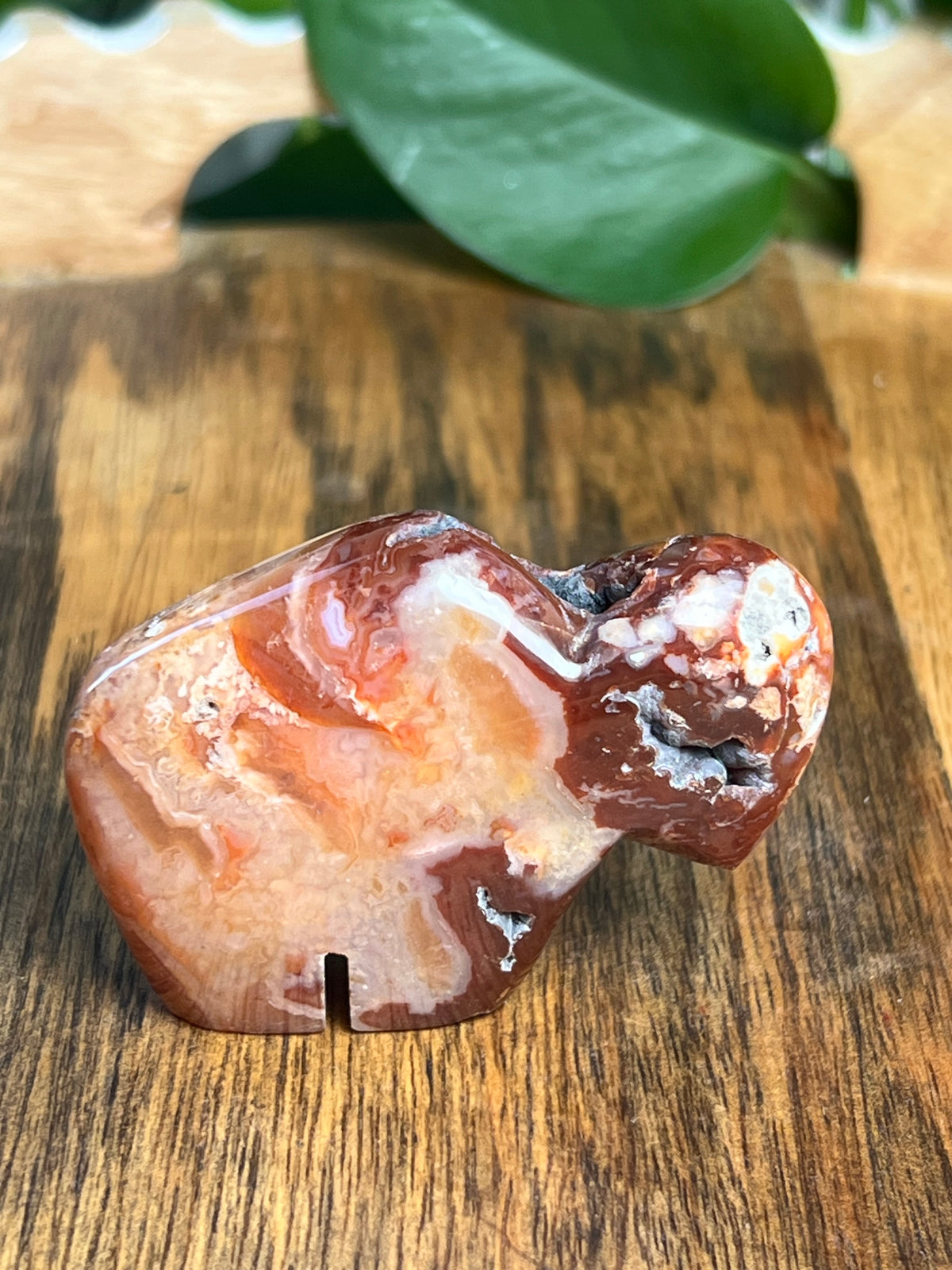 Carnelian Mini Buffalo: BH
