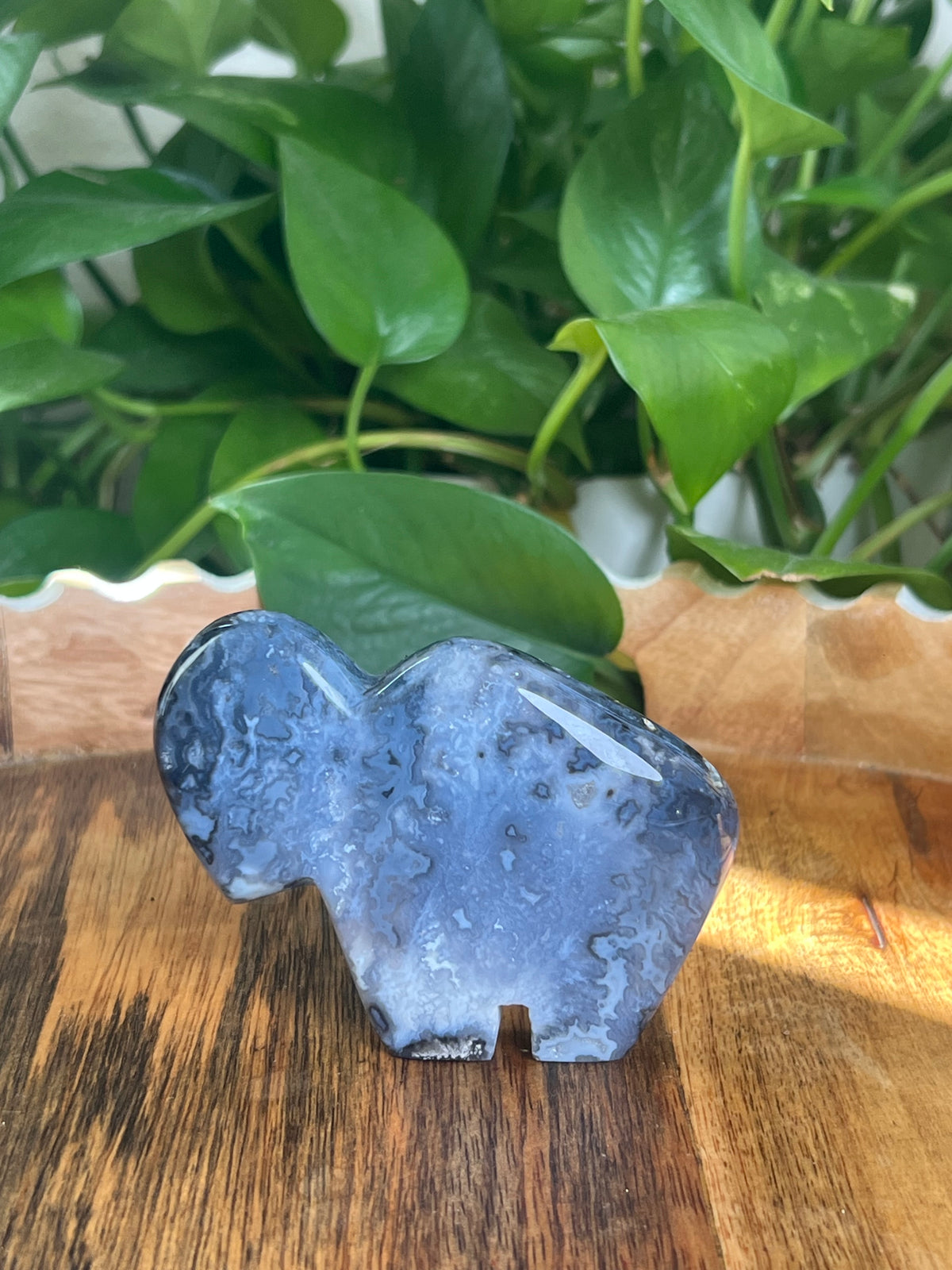 Blue Plume Agate Buffalo: PB