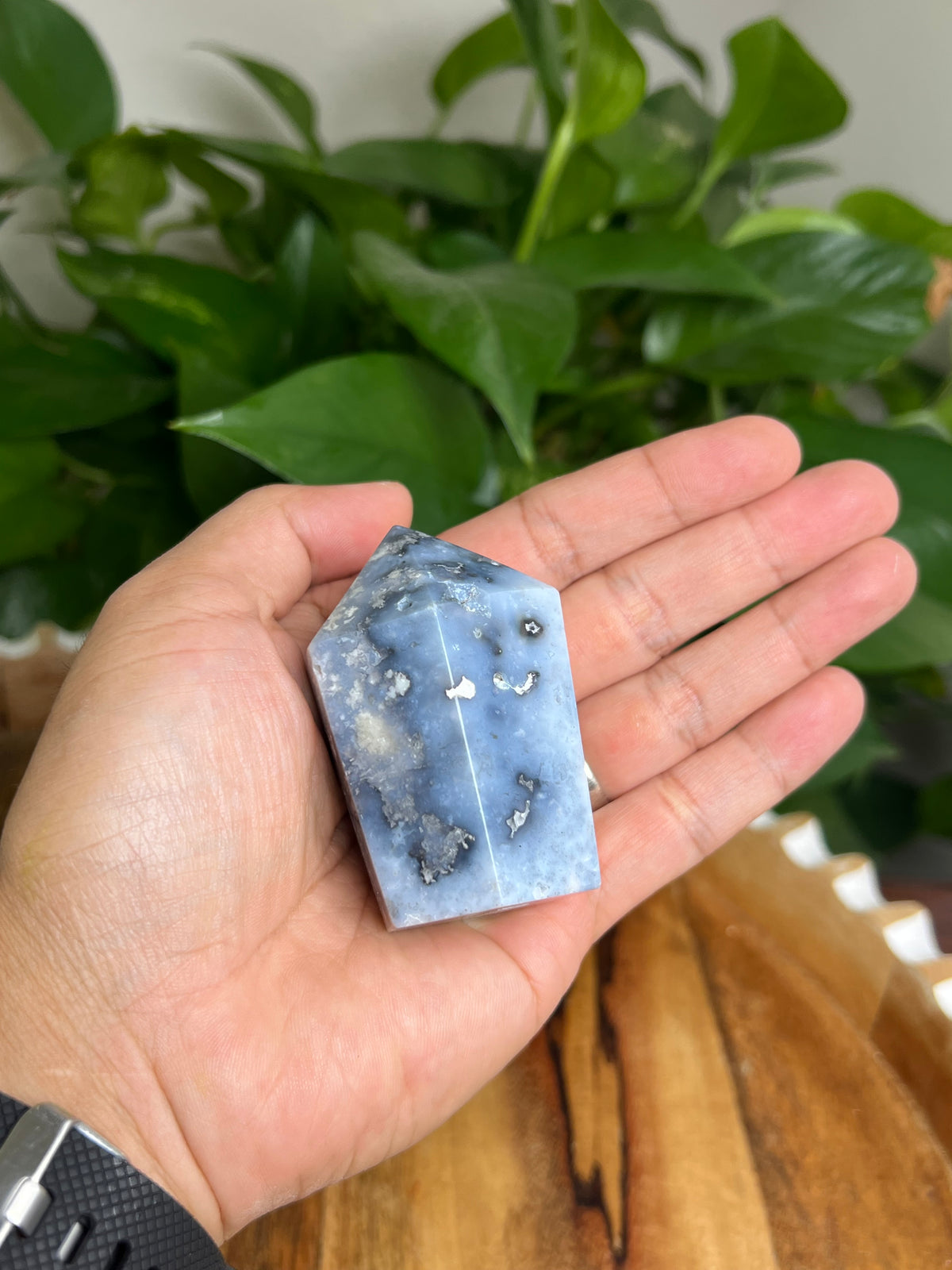 Blue Plume Agate Cupcake: EJ