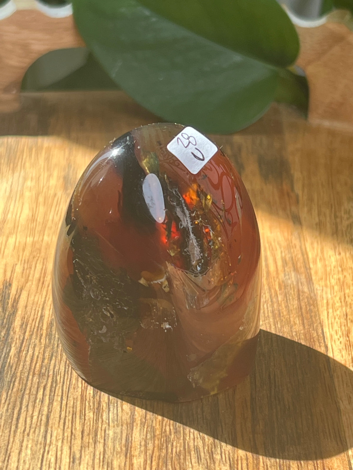 Blue Amber Freeform: U