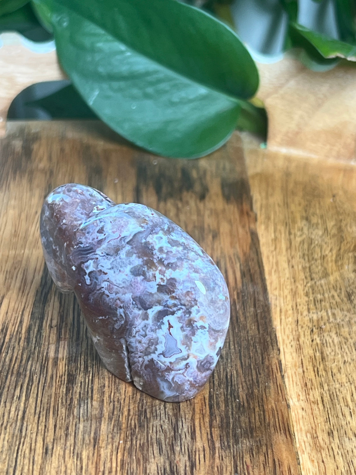 Sumatra Plume Agate Mini Buffalo: DF