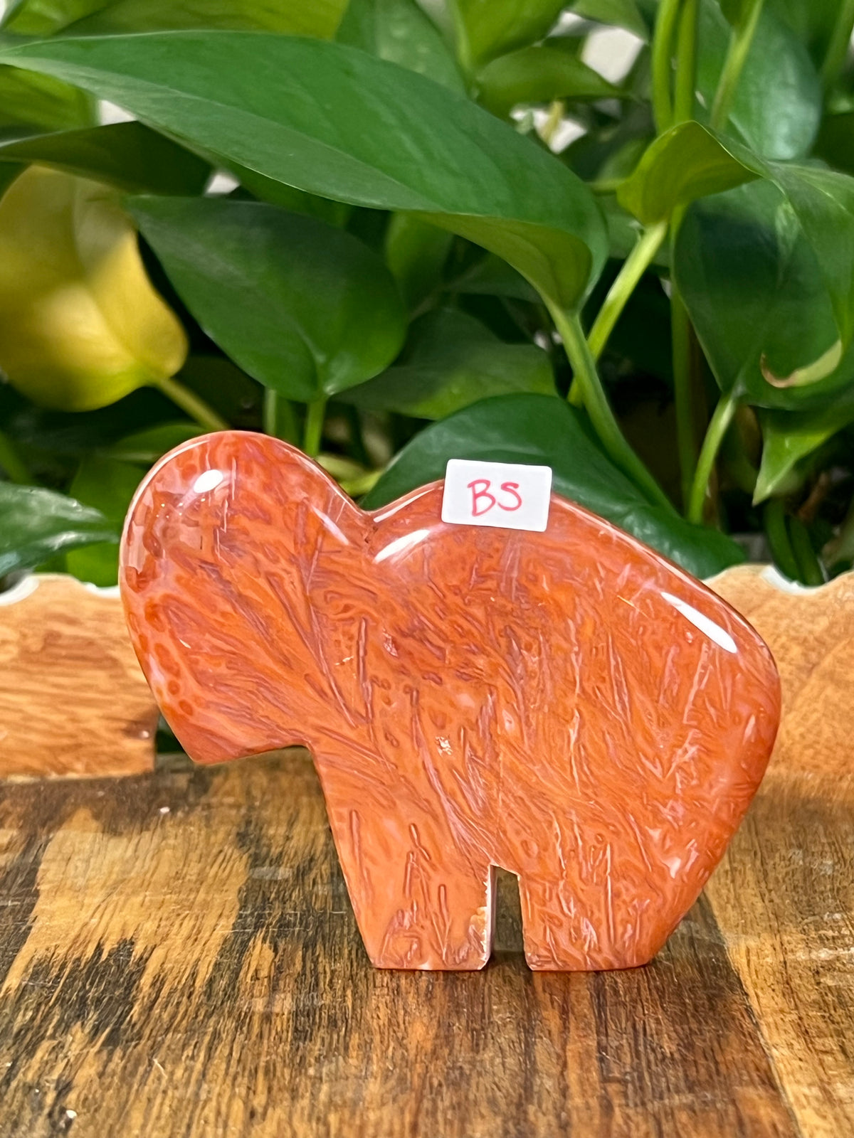 Red Carnelian Buffalos
