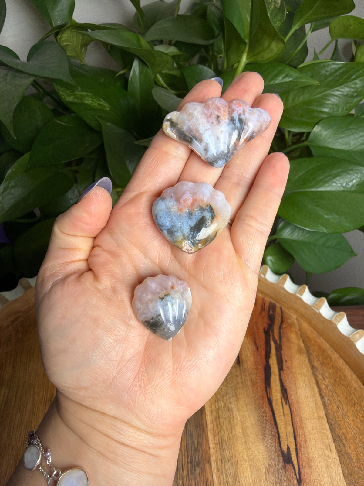 Rainbow Plume Agate Shells