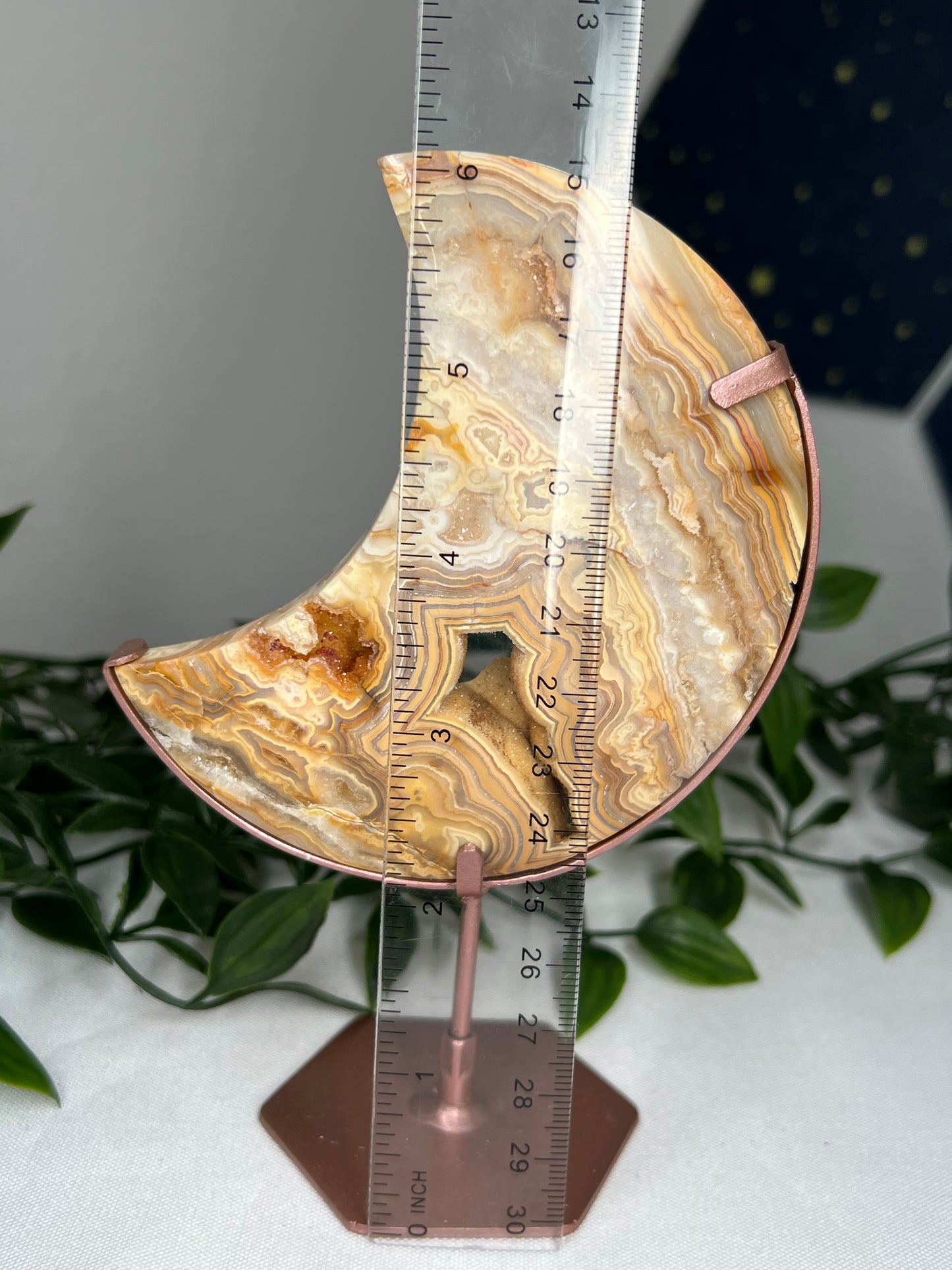 Yellow Crazy Lace Agate Moon