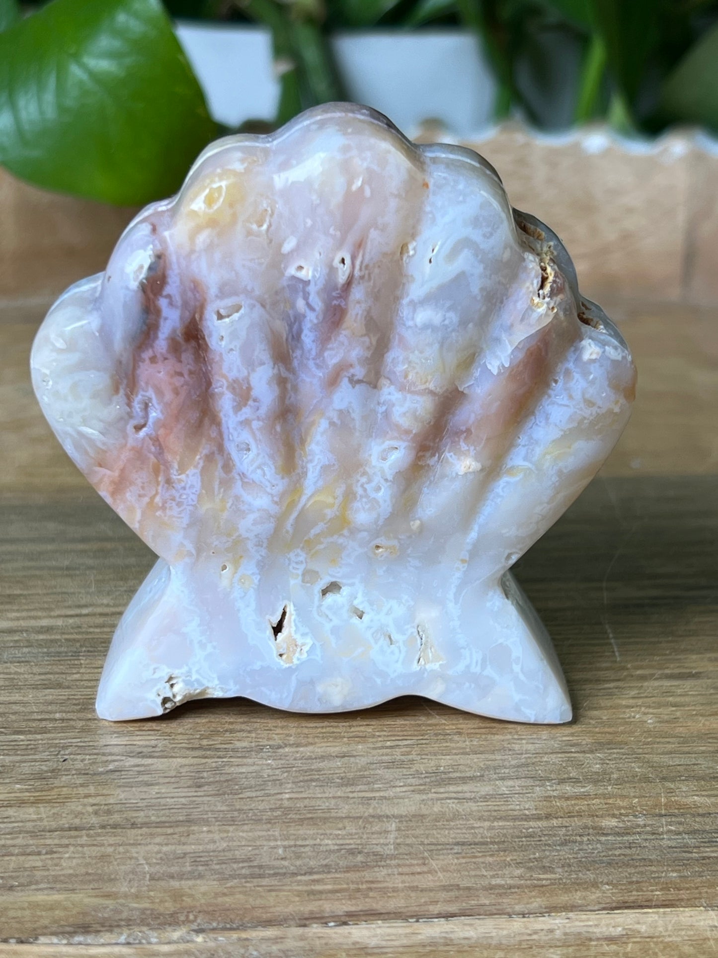 Rainbow Plume Agate Shell