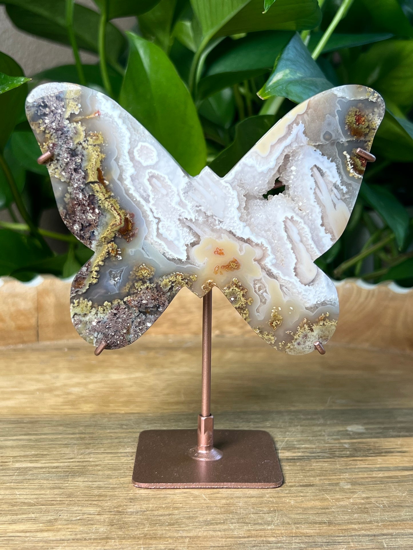 Scenic Moss Agate Butterfly